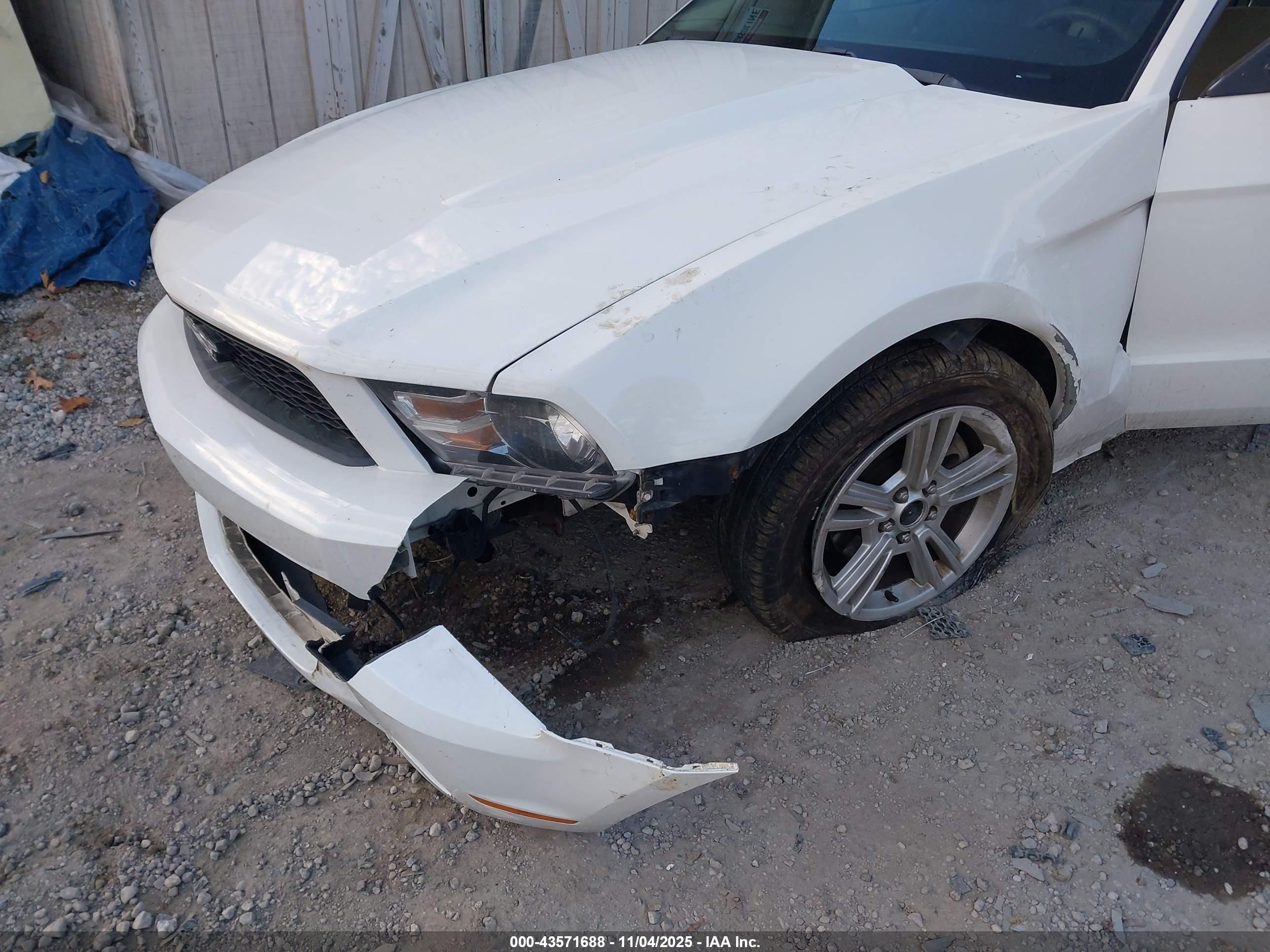 FORD MUSTANG image 6