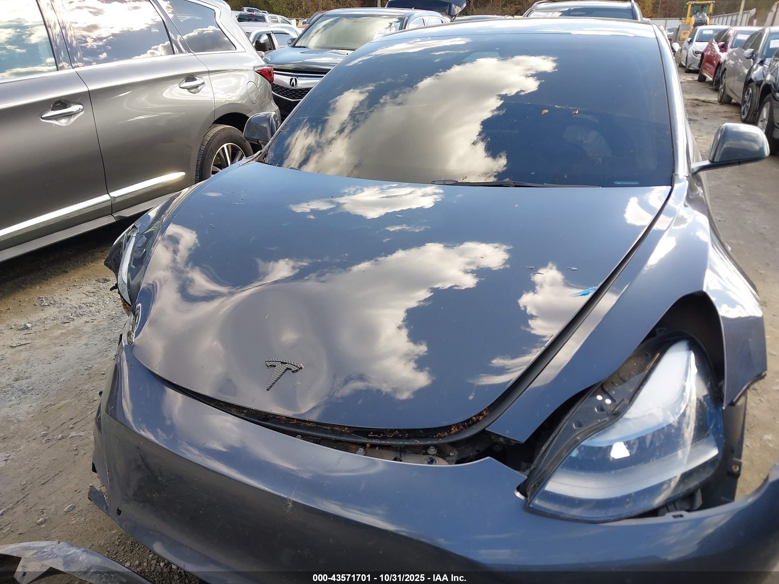 TESLA MODEL image 10