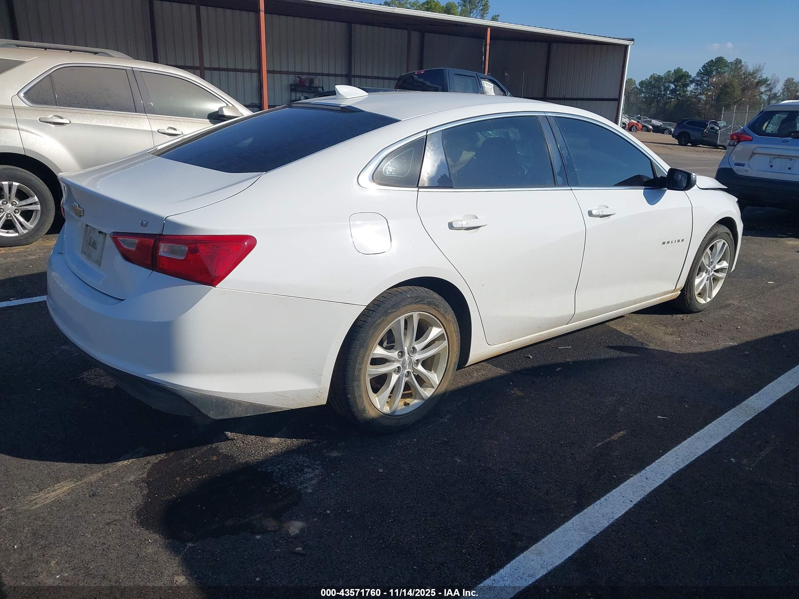 CHEVROLET MALIBU image 4