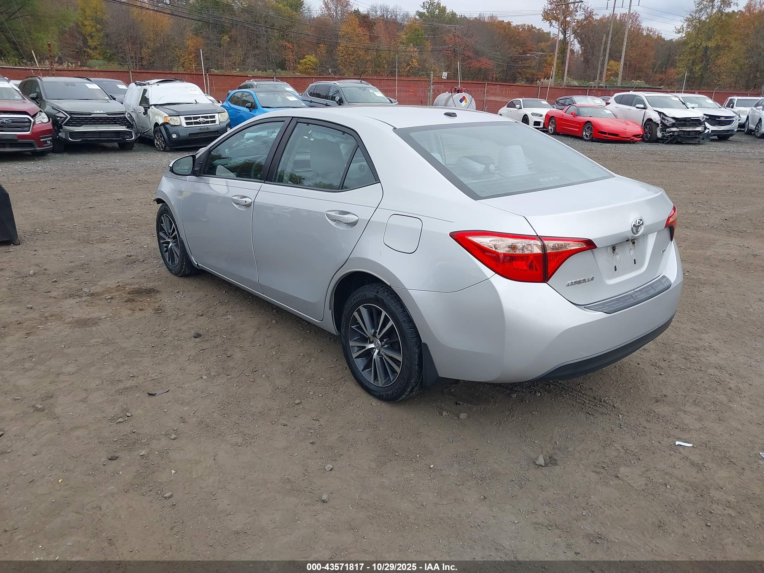 TOYOTA COROLLA image 3