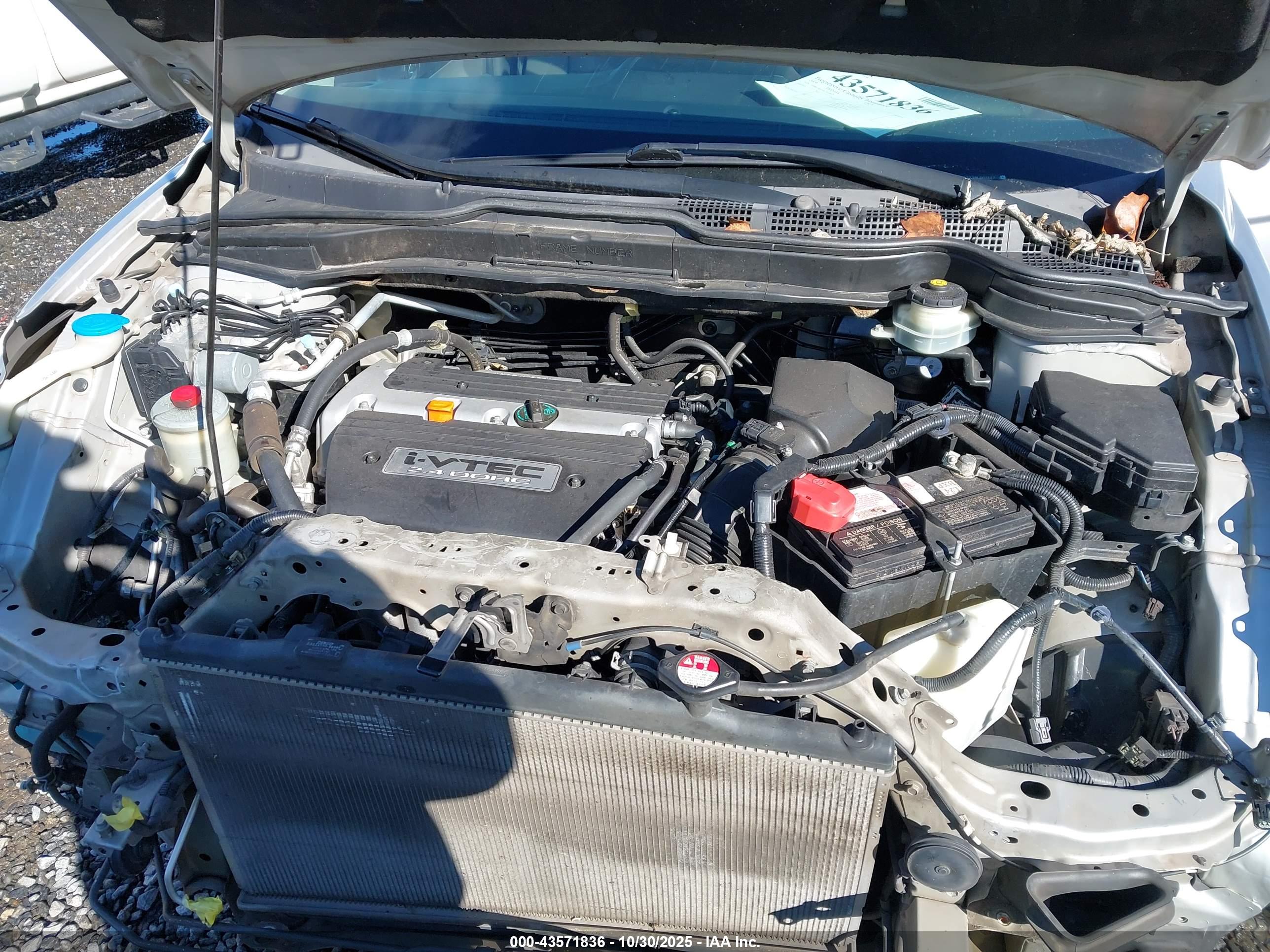 HONDA CR-V image 10