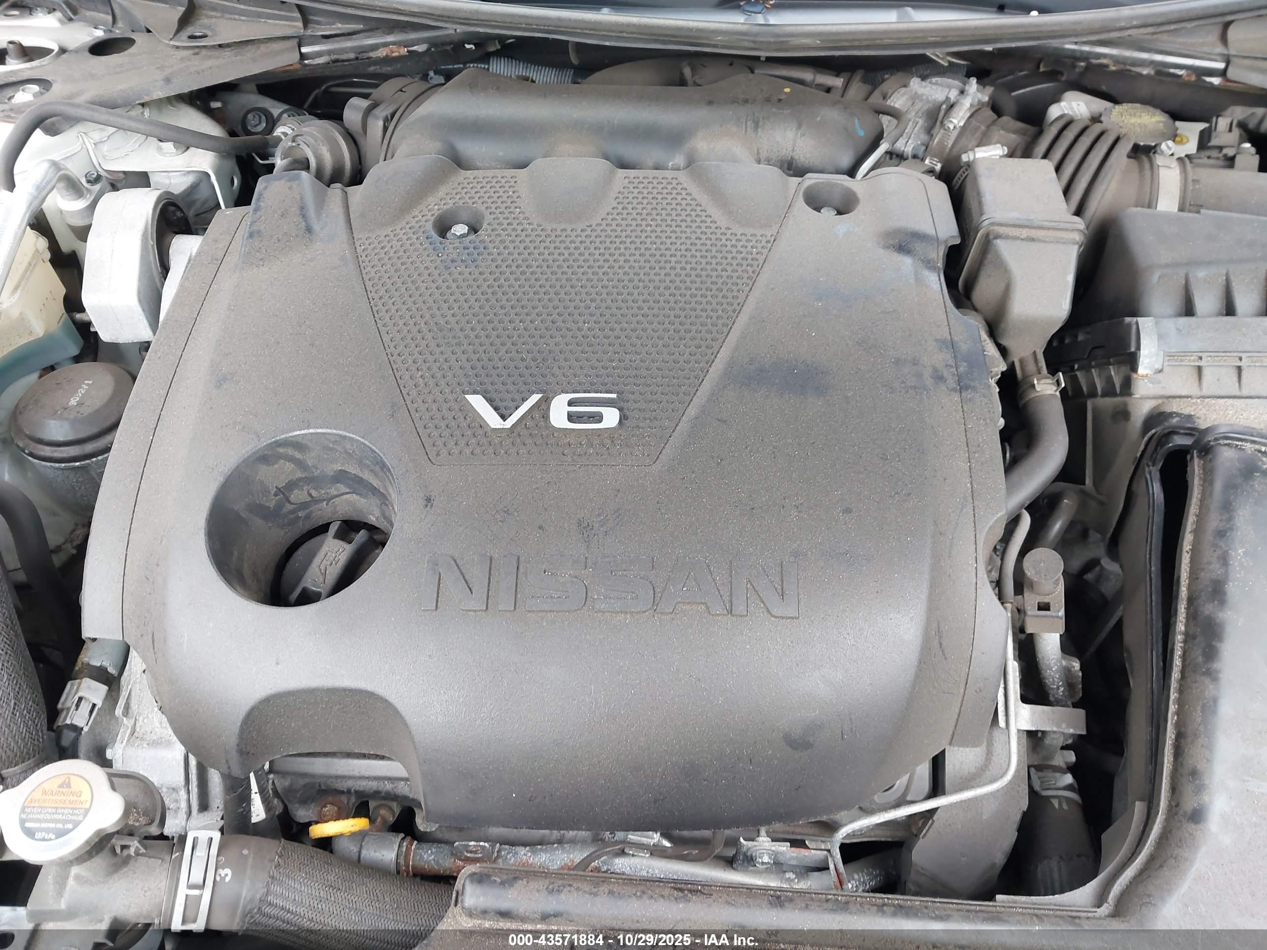 NISSAN MAXIMA image 10