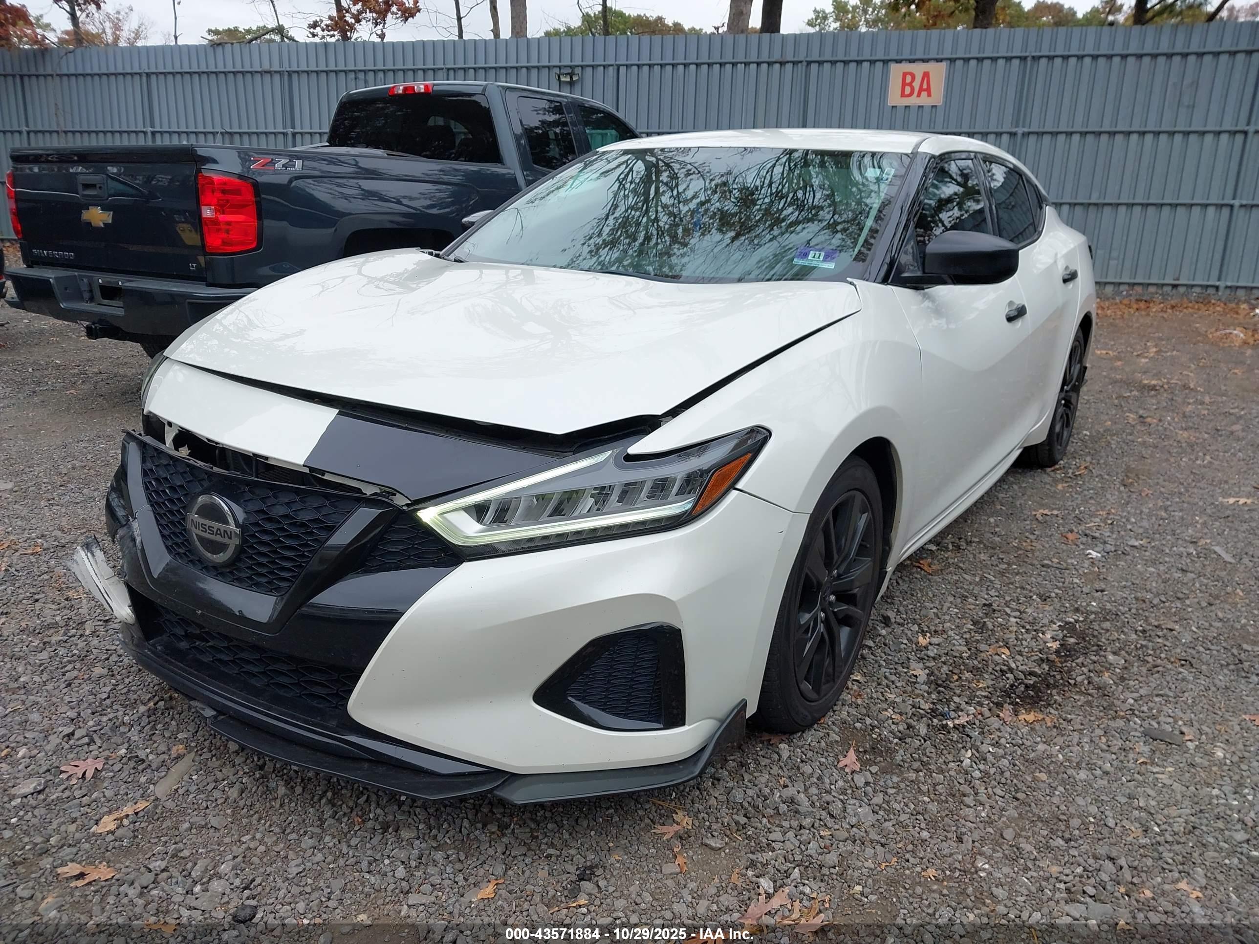 NISSAN MAXIMA image 2