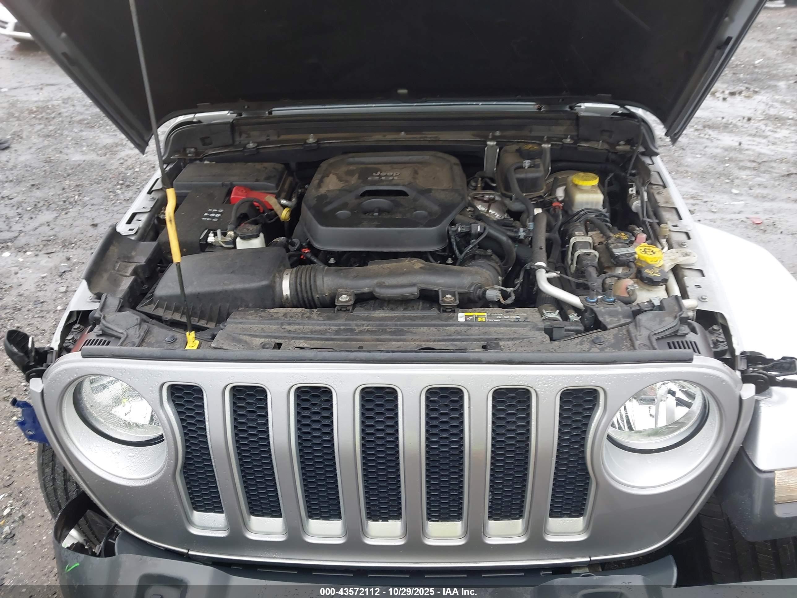 JEEP WRANGLER image 10