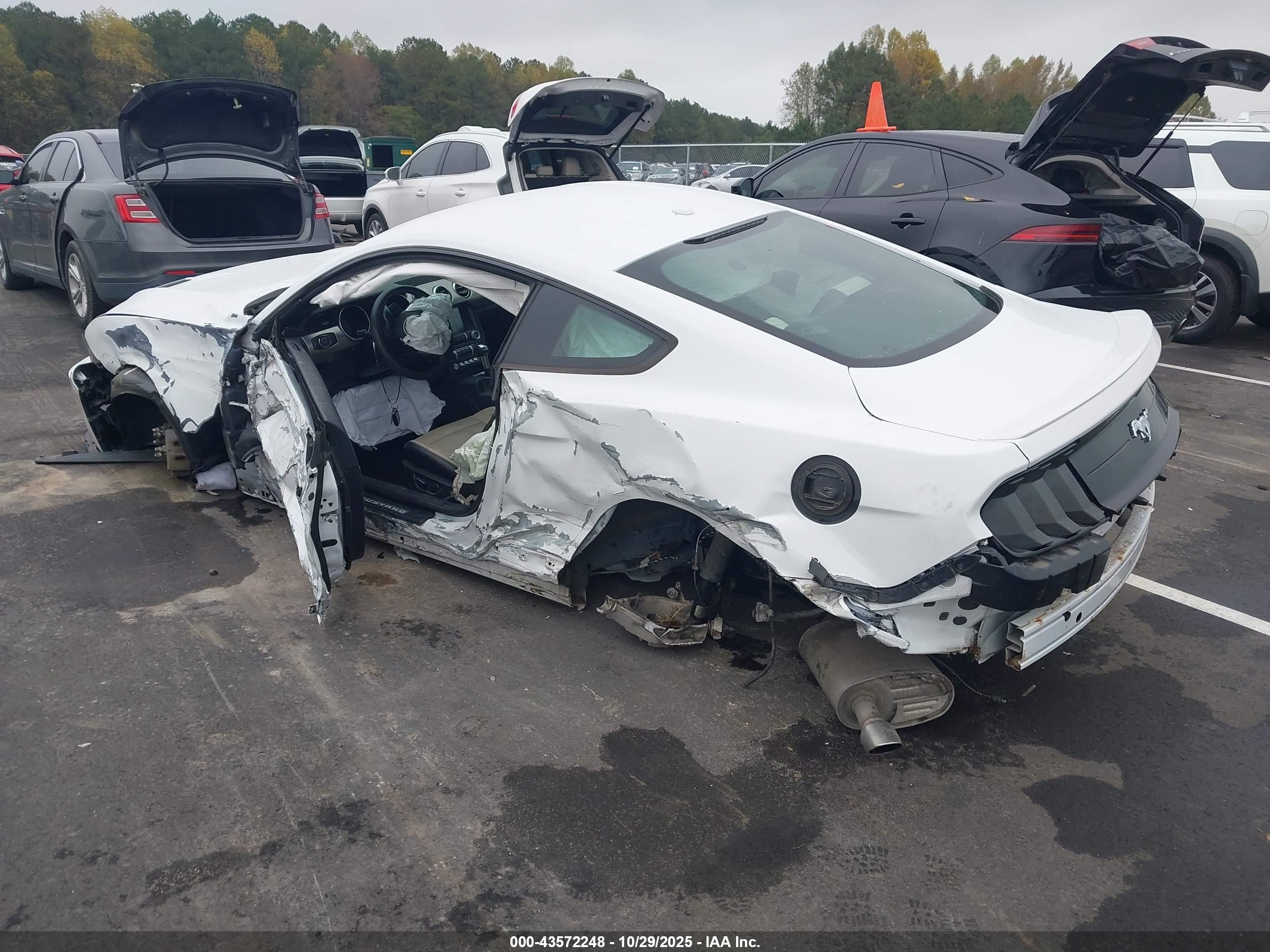 FORD MUSTANG image 3