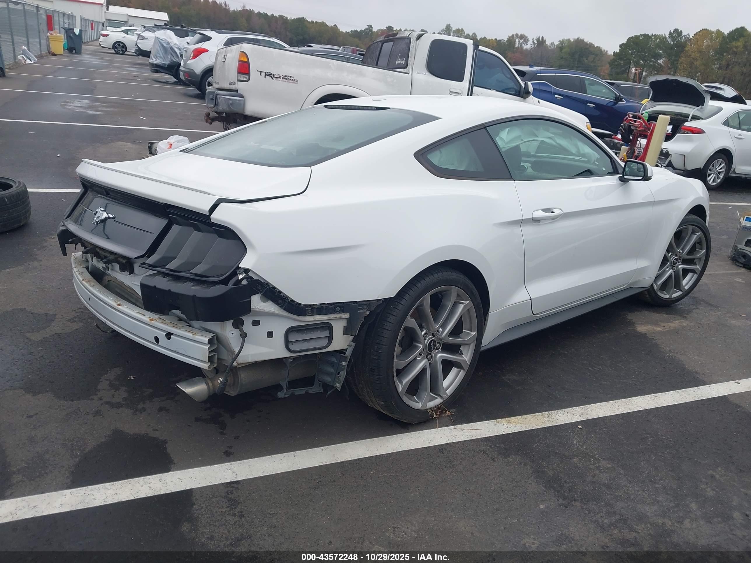 FORD MUSTANG image 4
