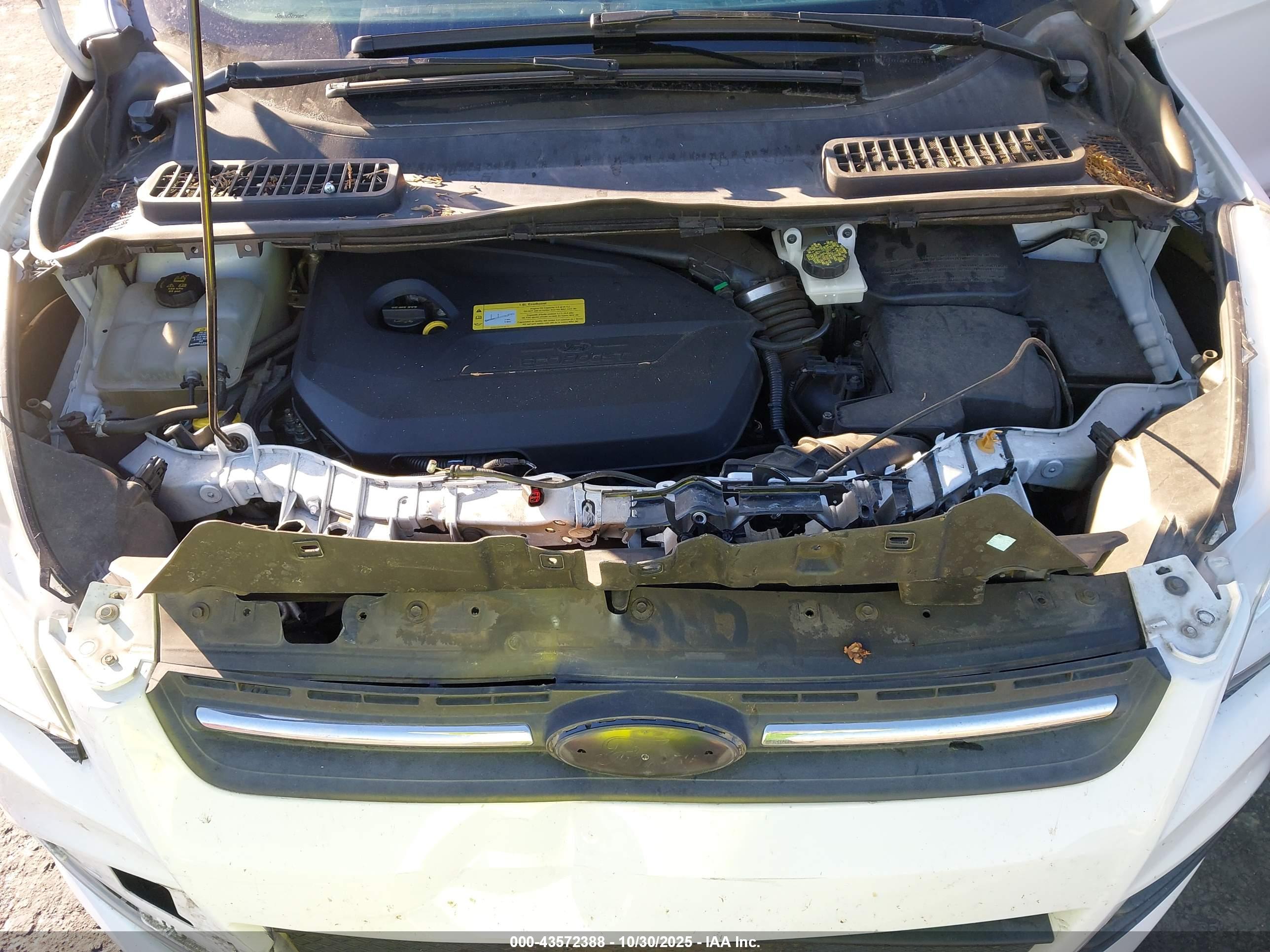 FORD ESCAPE image 10