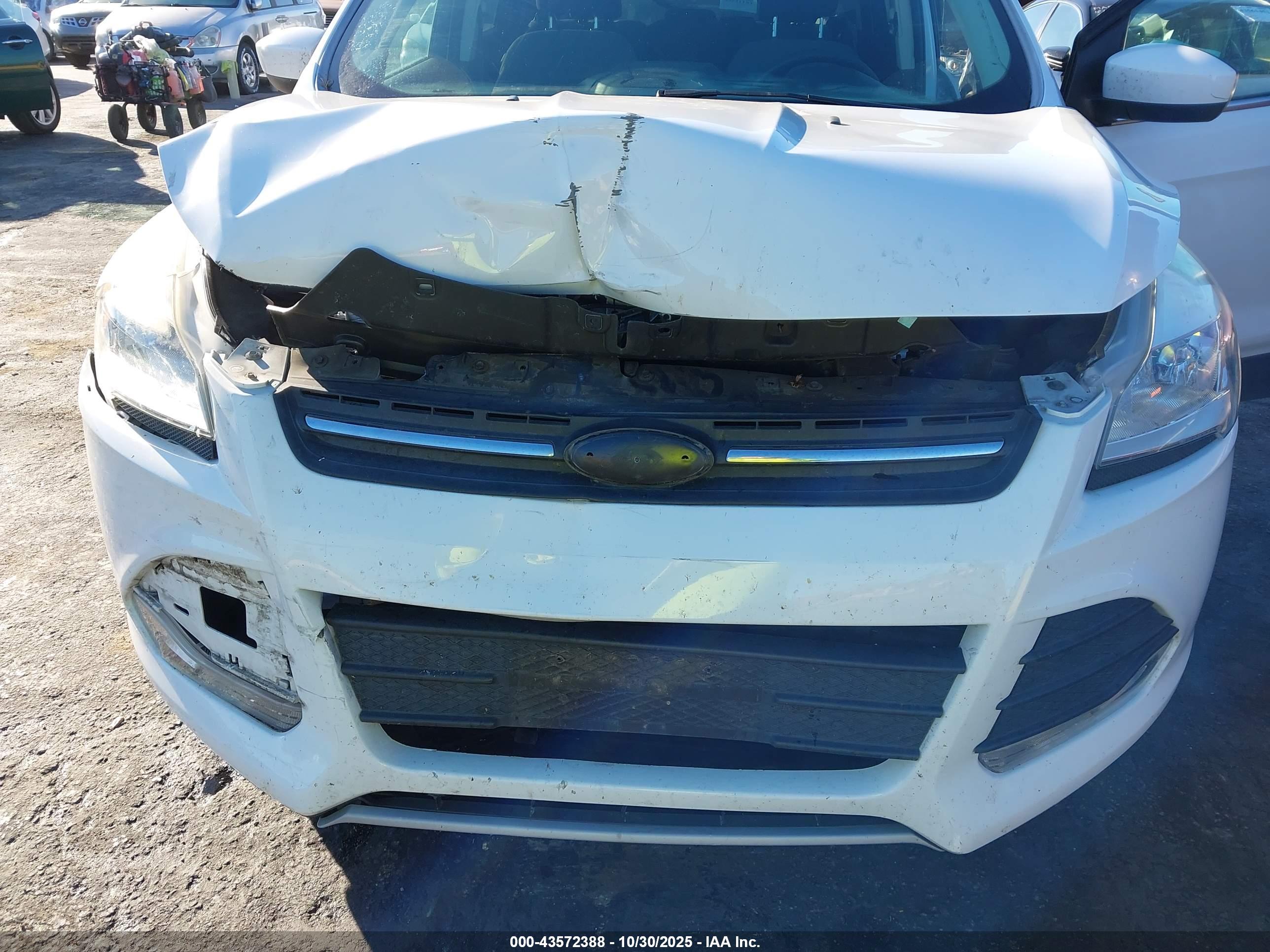 FORD ESCAPE image 6