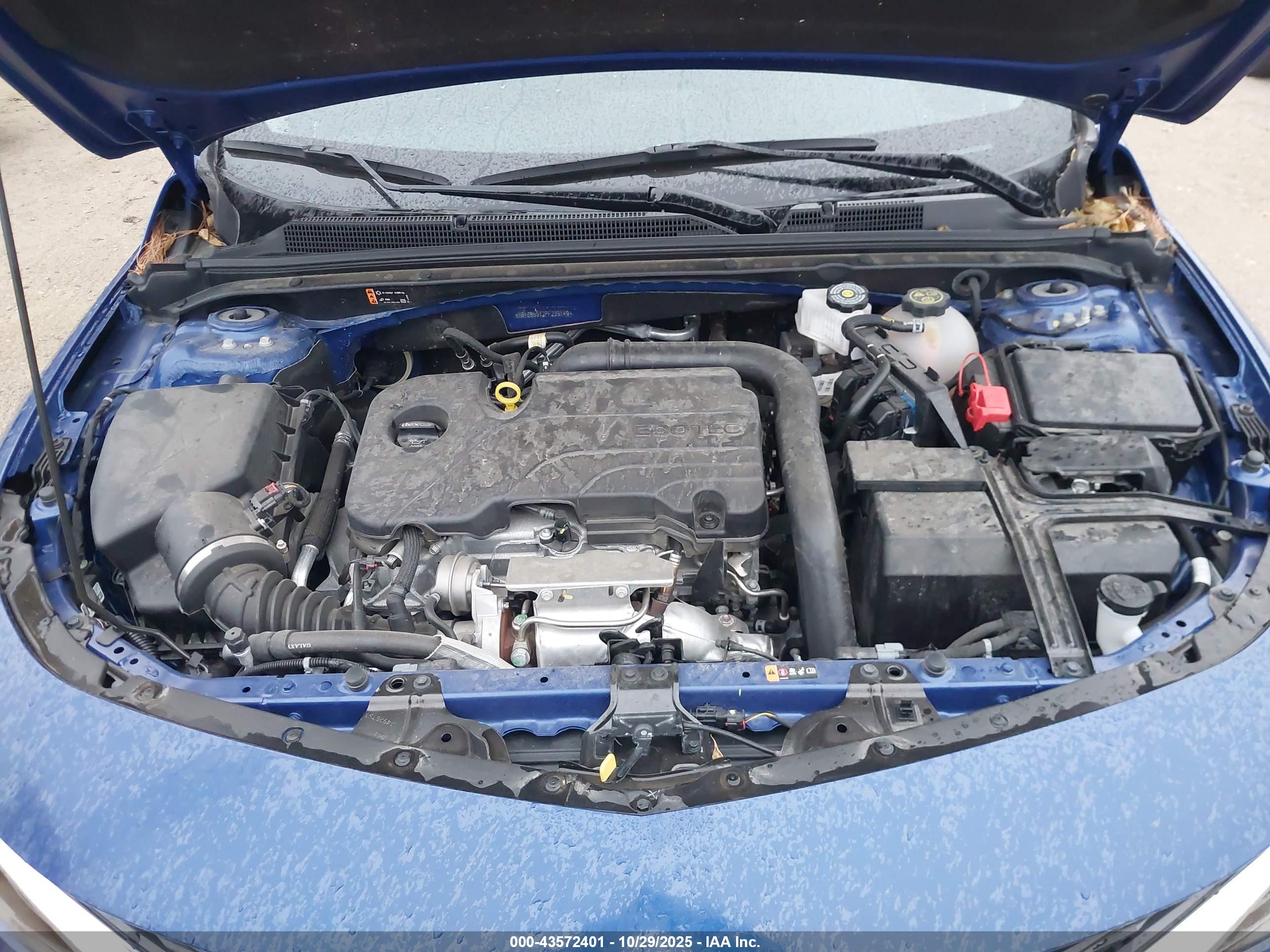 CHEVROLET MALIBU image 10