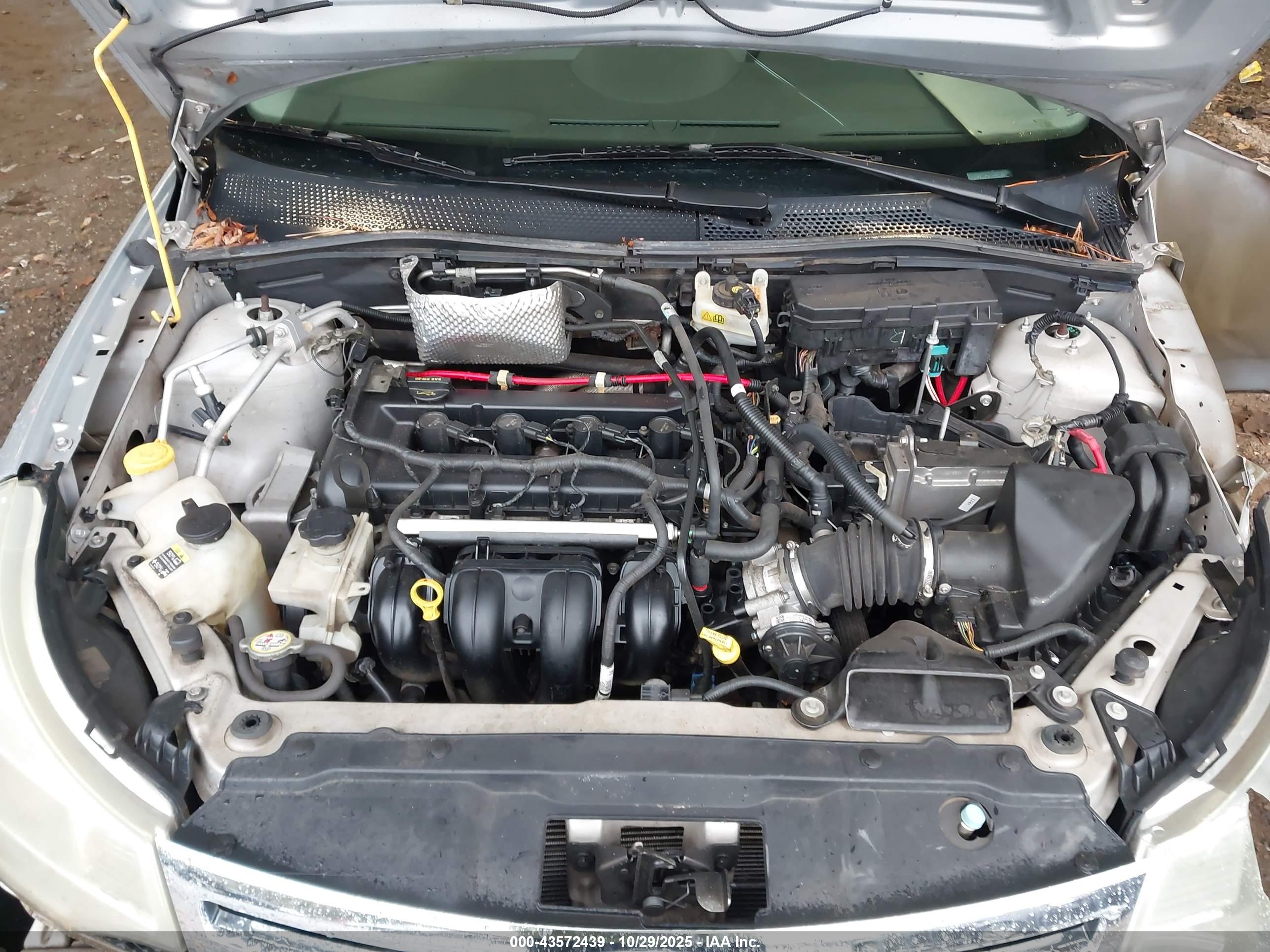 FORD FOCUS image 10