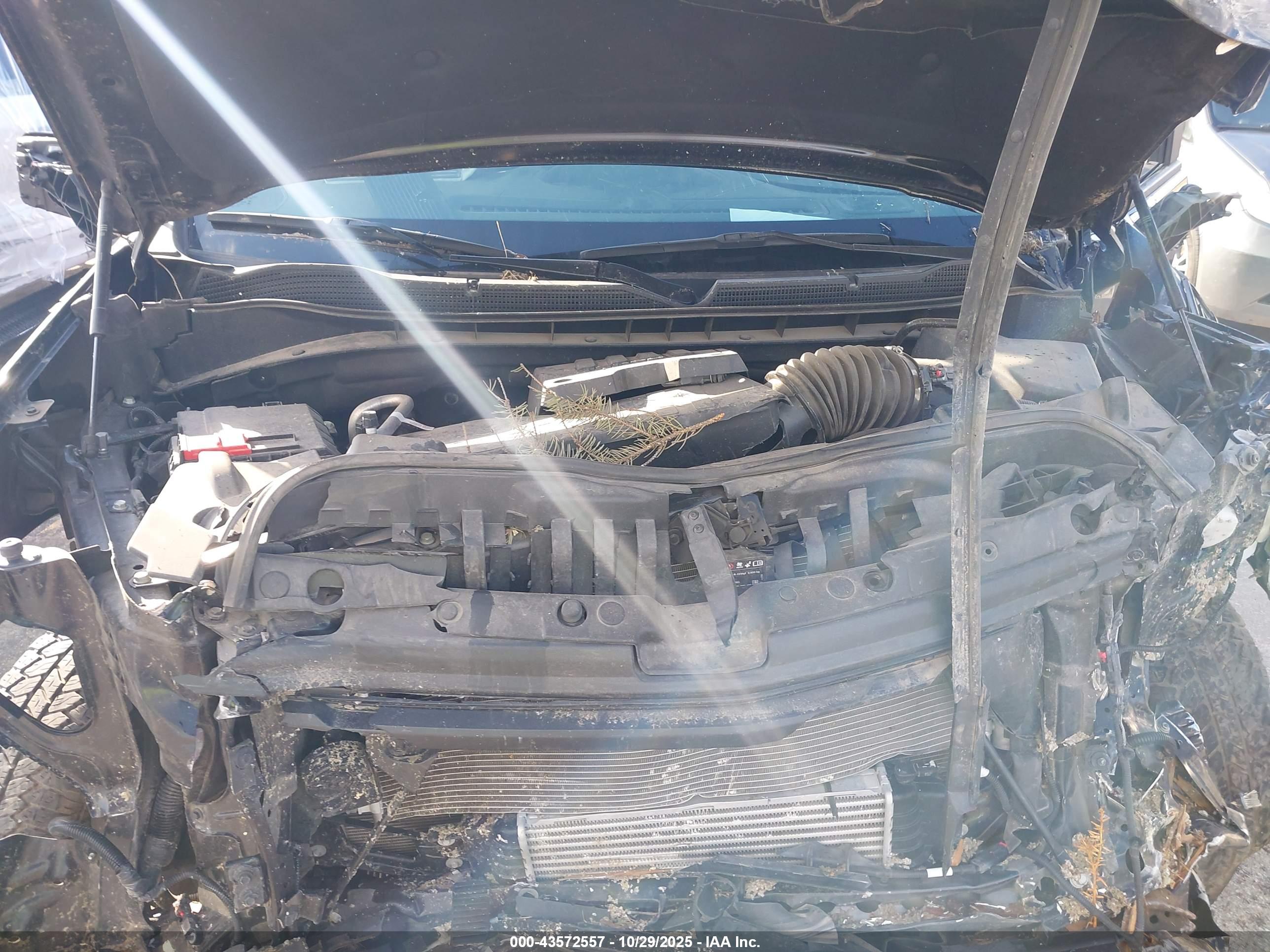 CHEVROLET SILVERADO image 10
