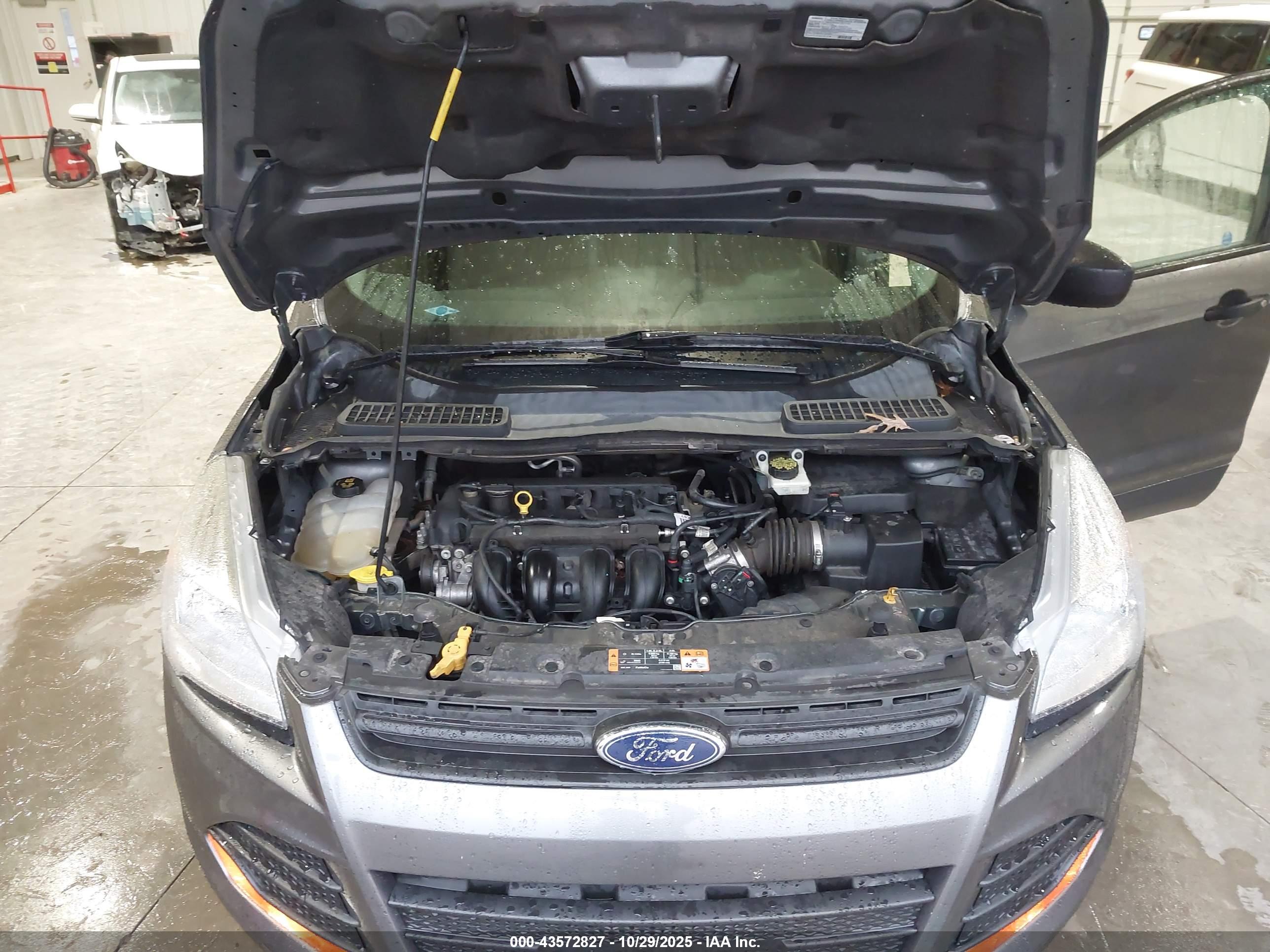 FORD ESCAPE image 10
