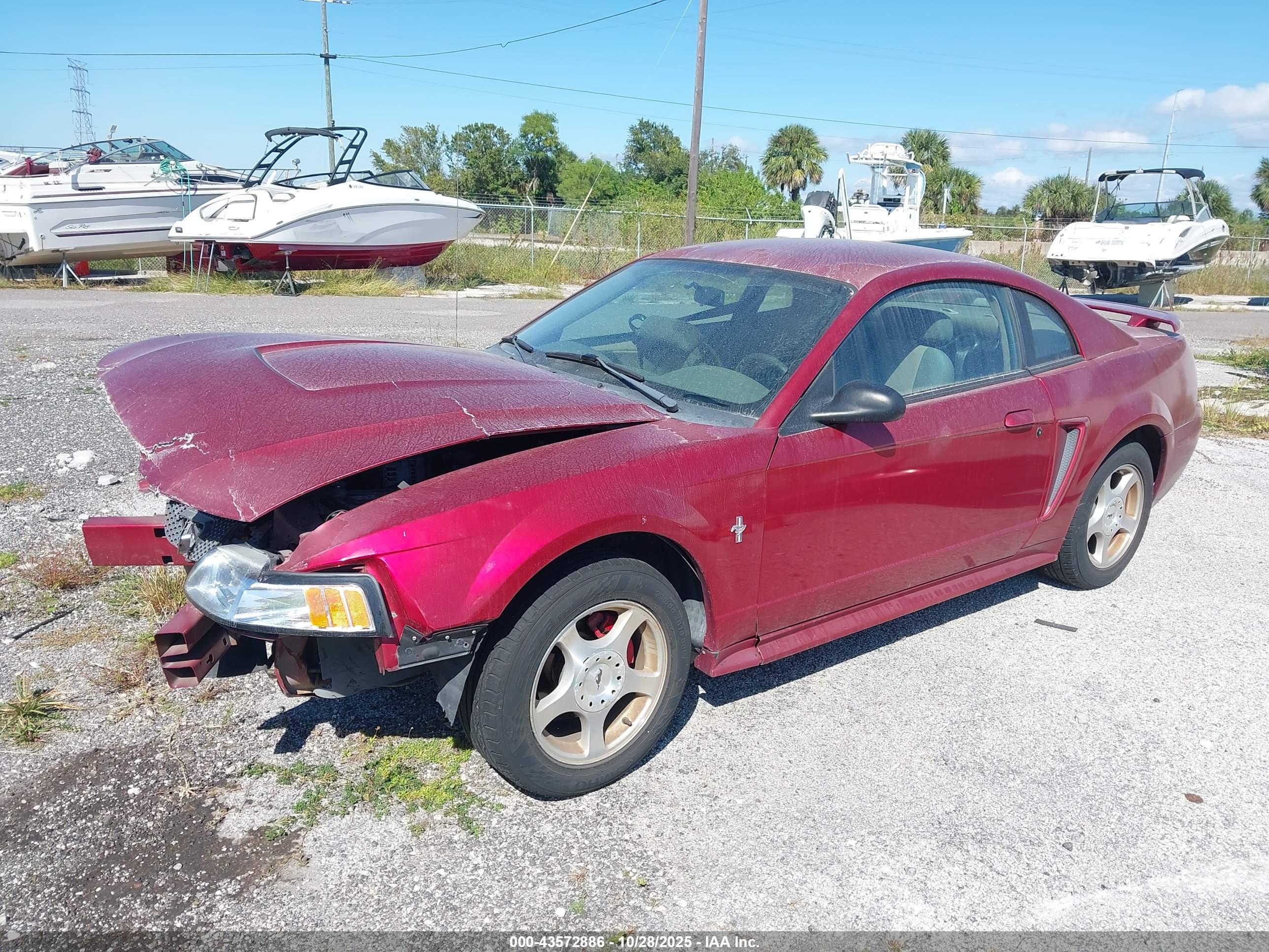 FORD MUSTANG image 2