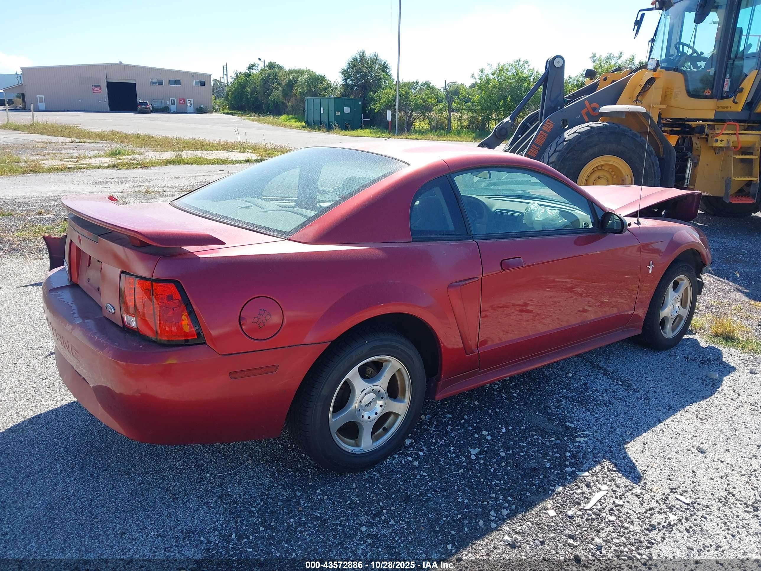 FORD MUSTANG image 4
