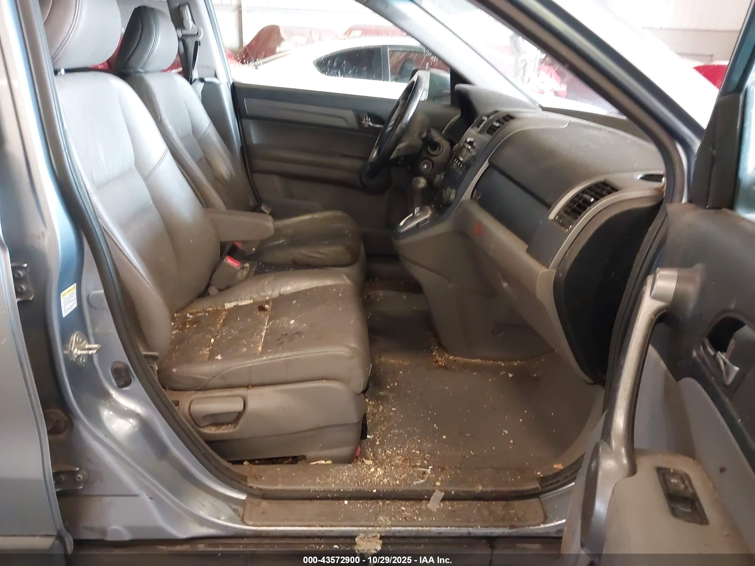 HONDA CR-V image 5