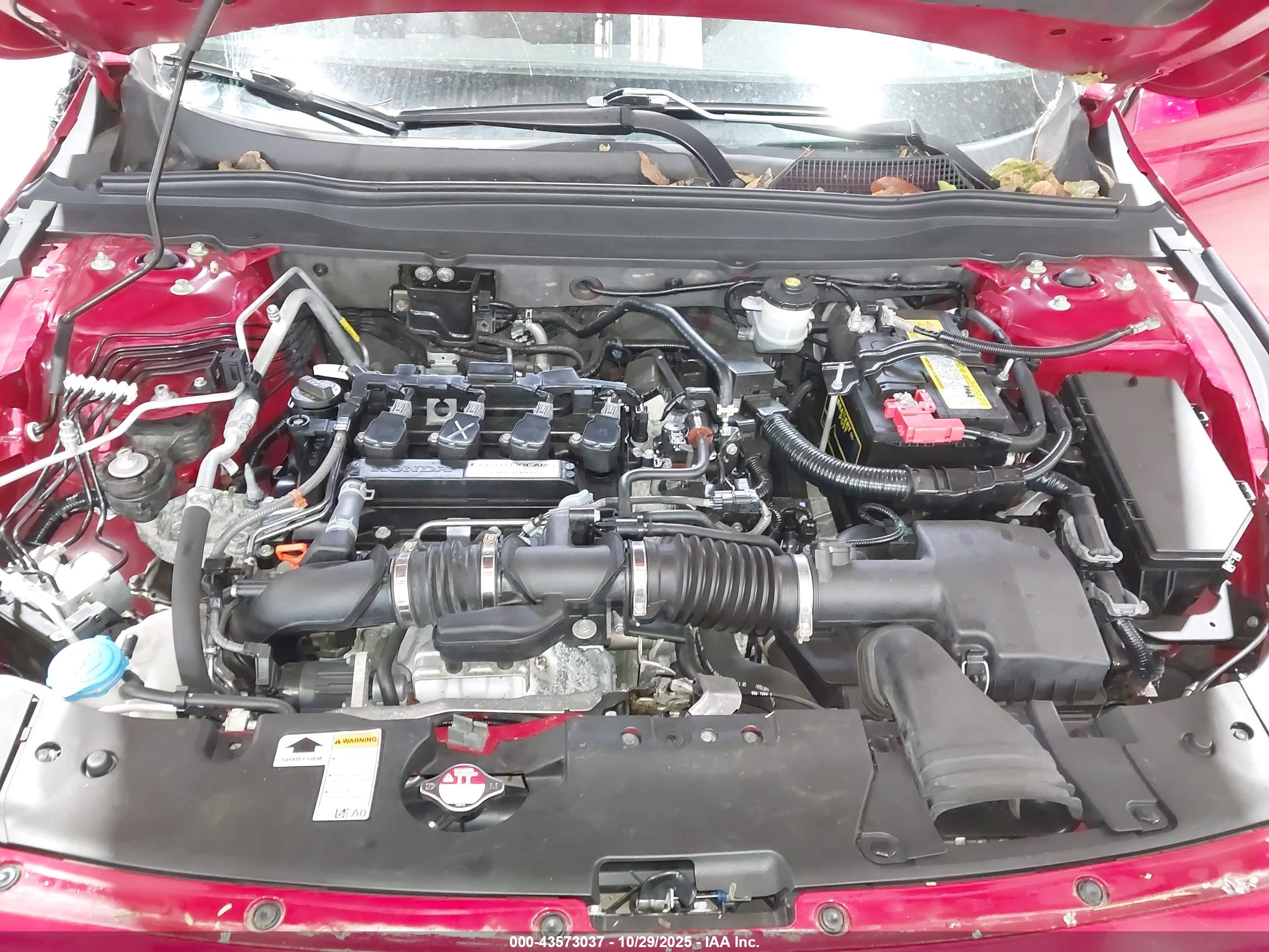 HONDA ACCORD image 10