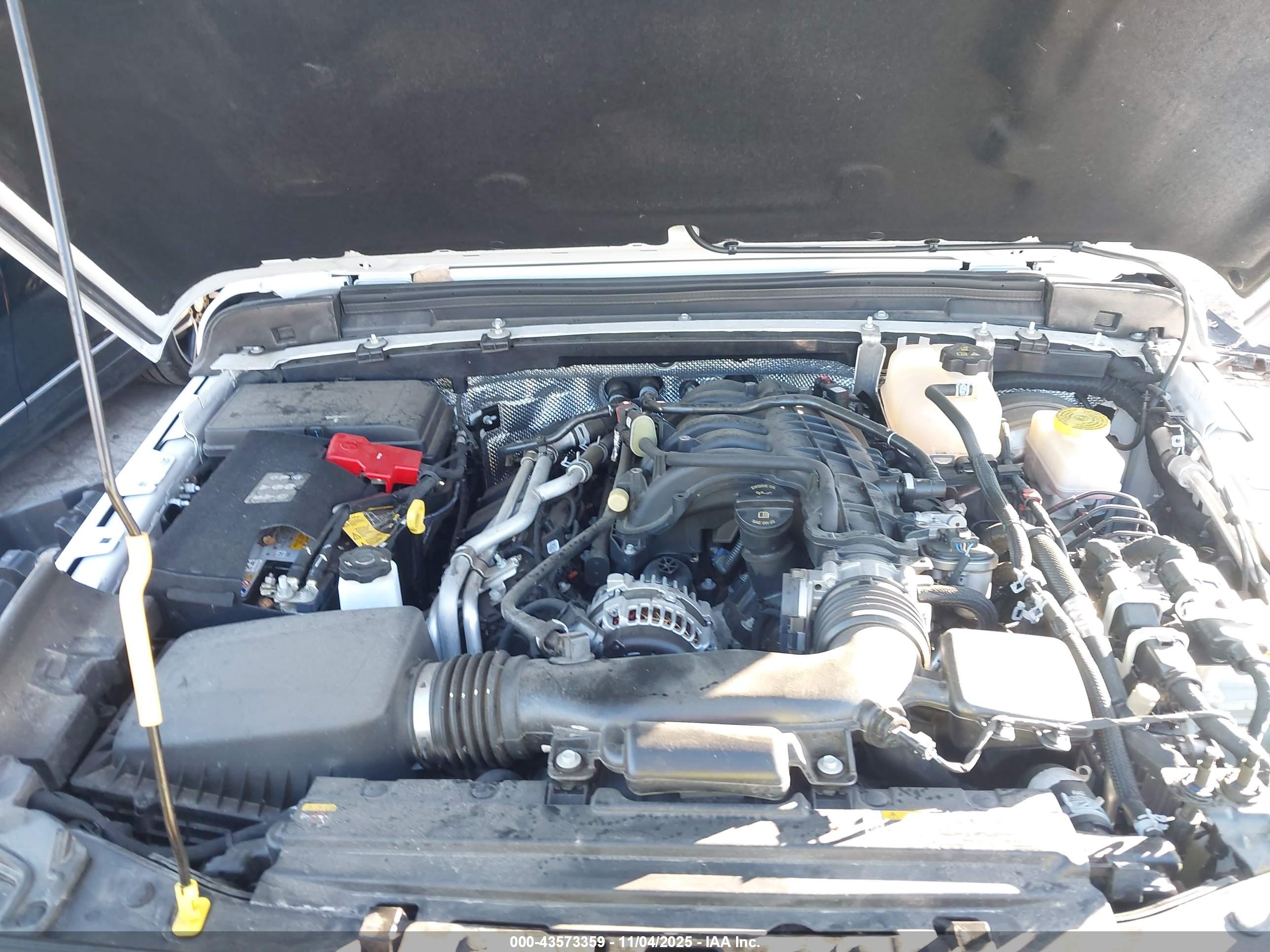 JEEP WRANGLER image 10