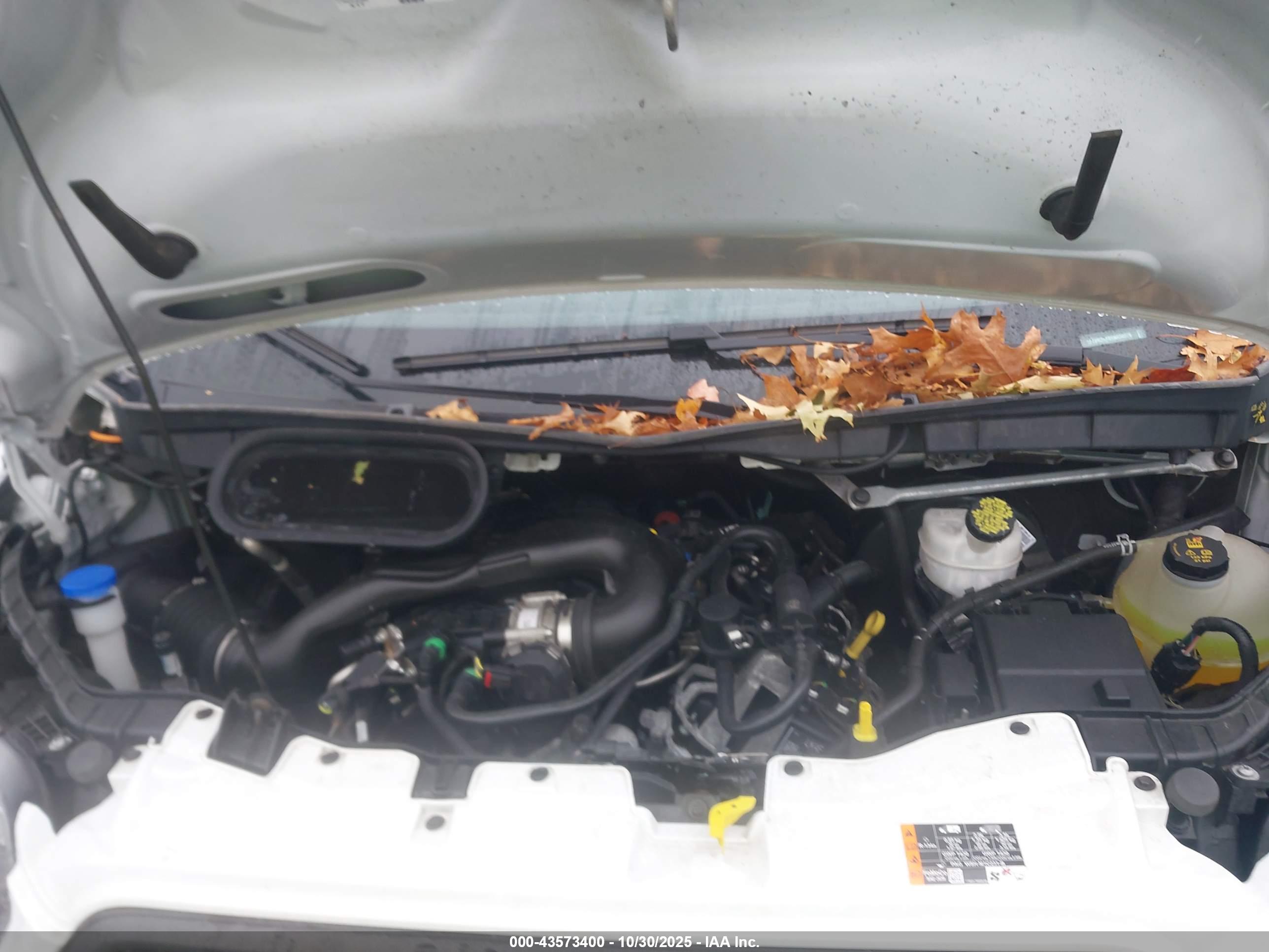 FORD TRANSIT-250 image 10