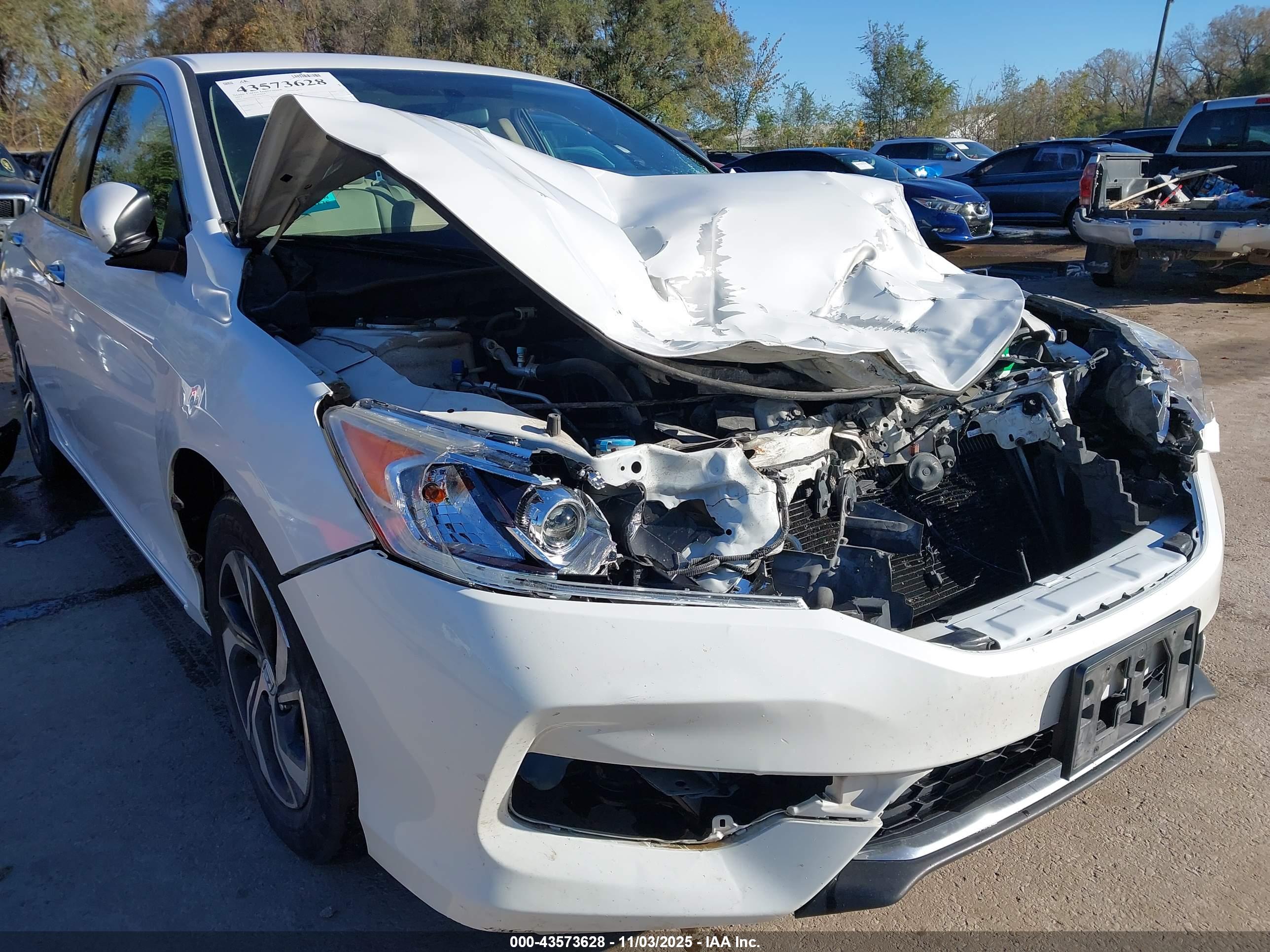 HONDA ACCORD image 6