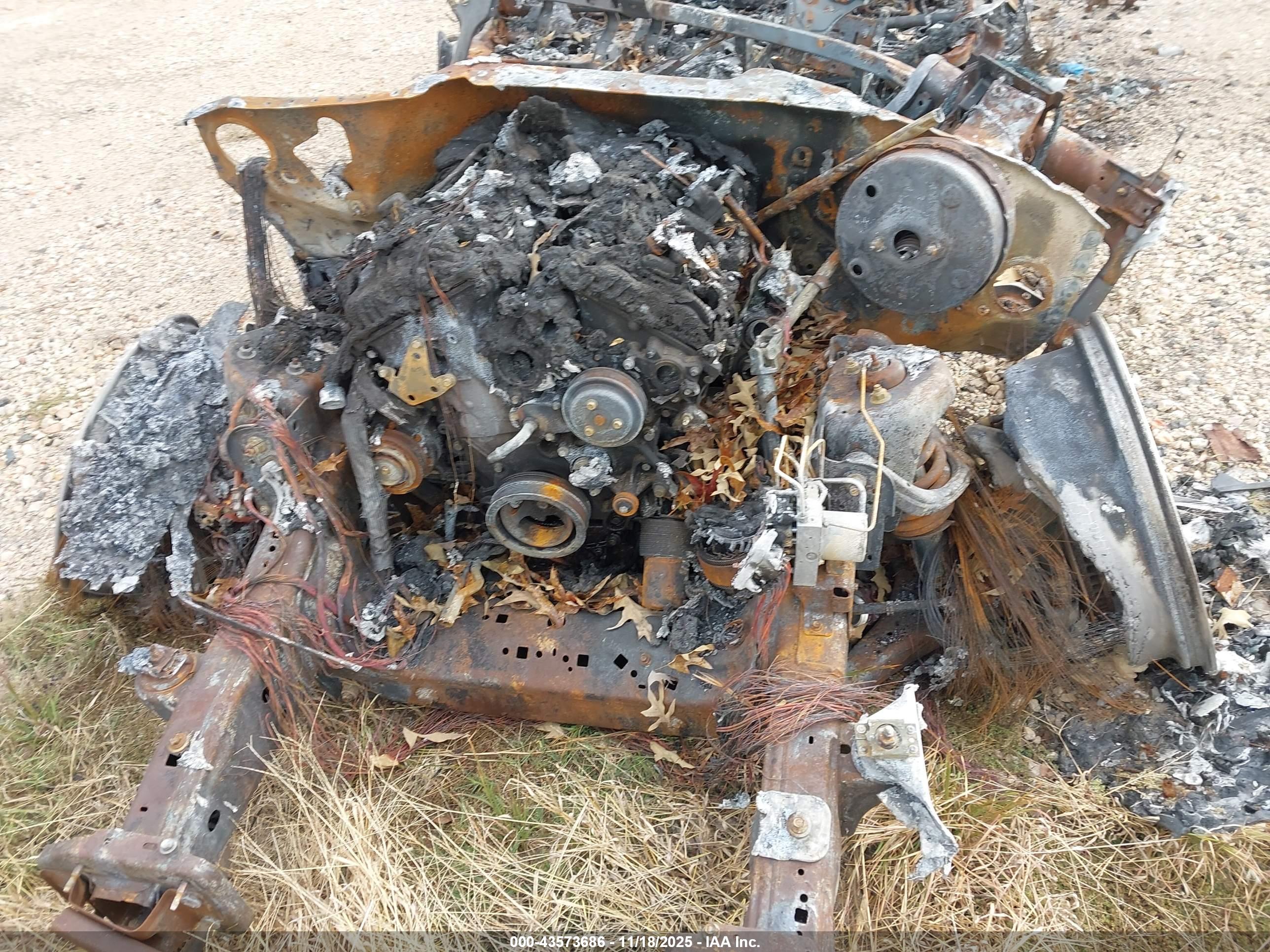 FORD EXPEDITION image 10