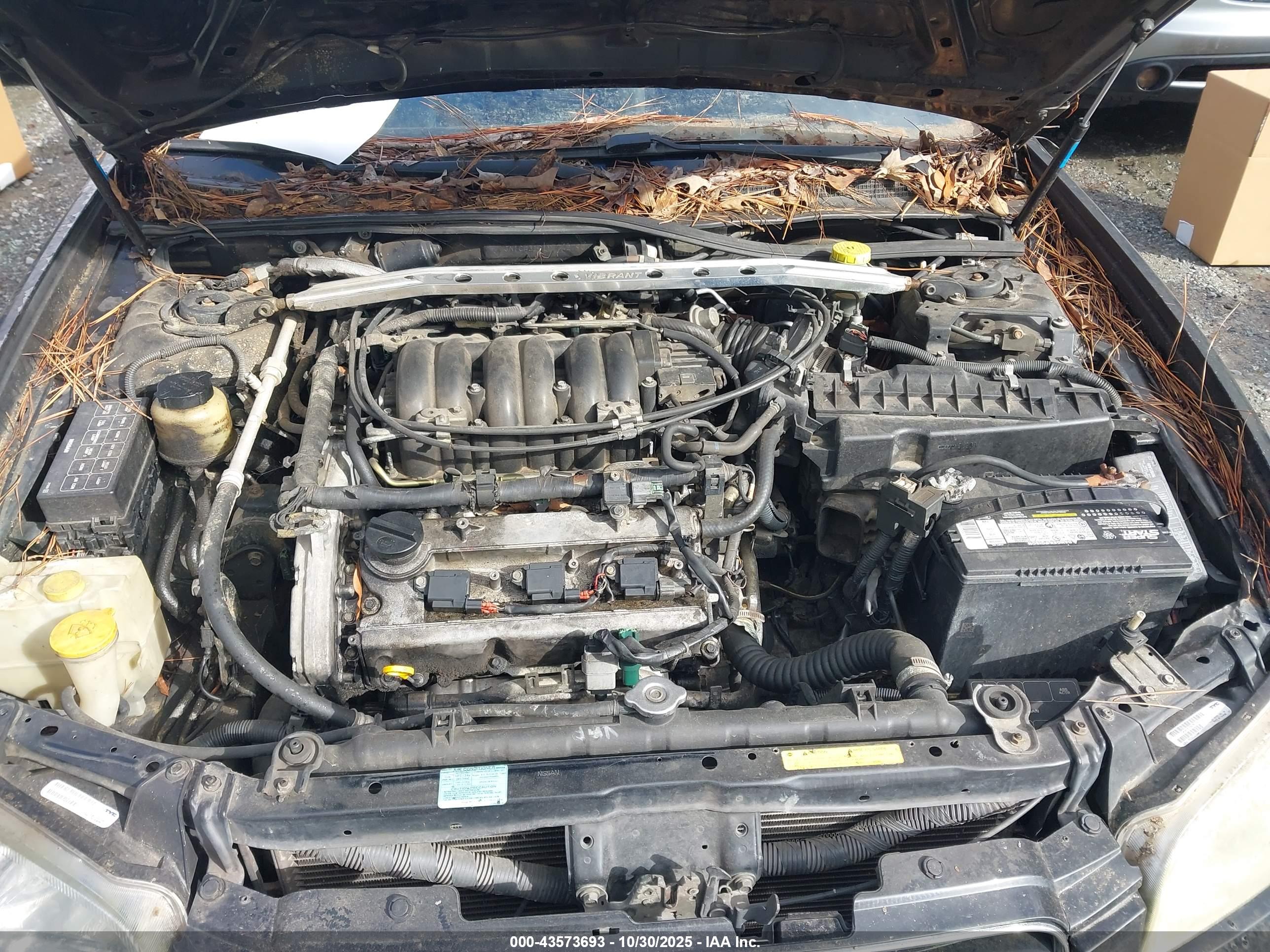 NISSAN MAXIMA image 10