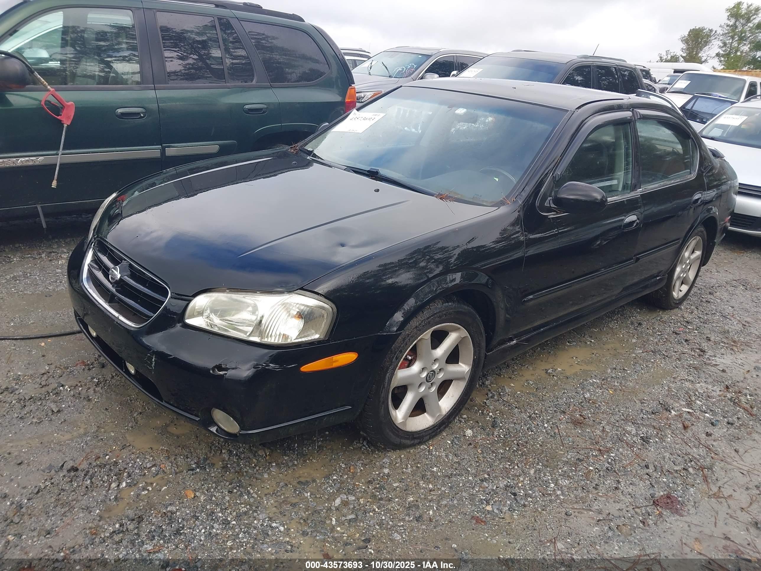 NISSAN MAXIMA image 2
