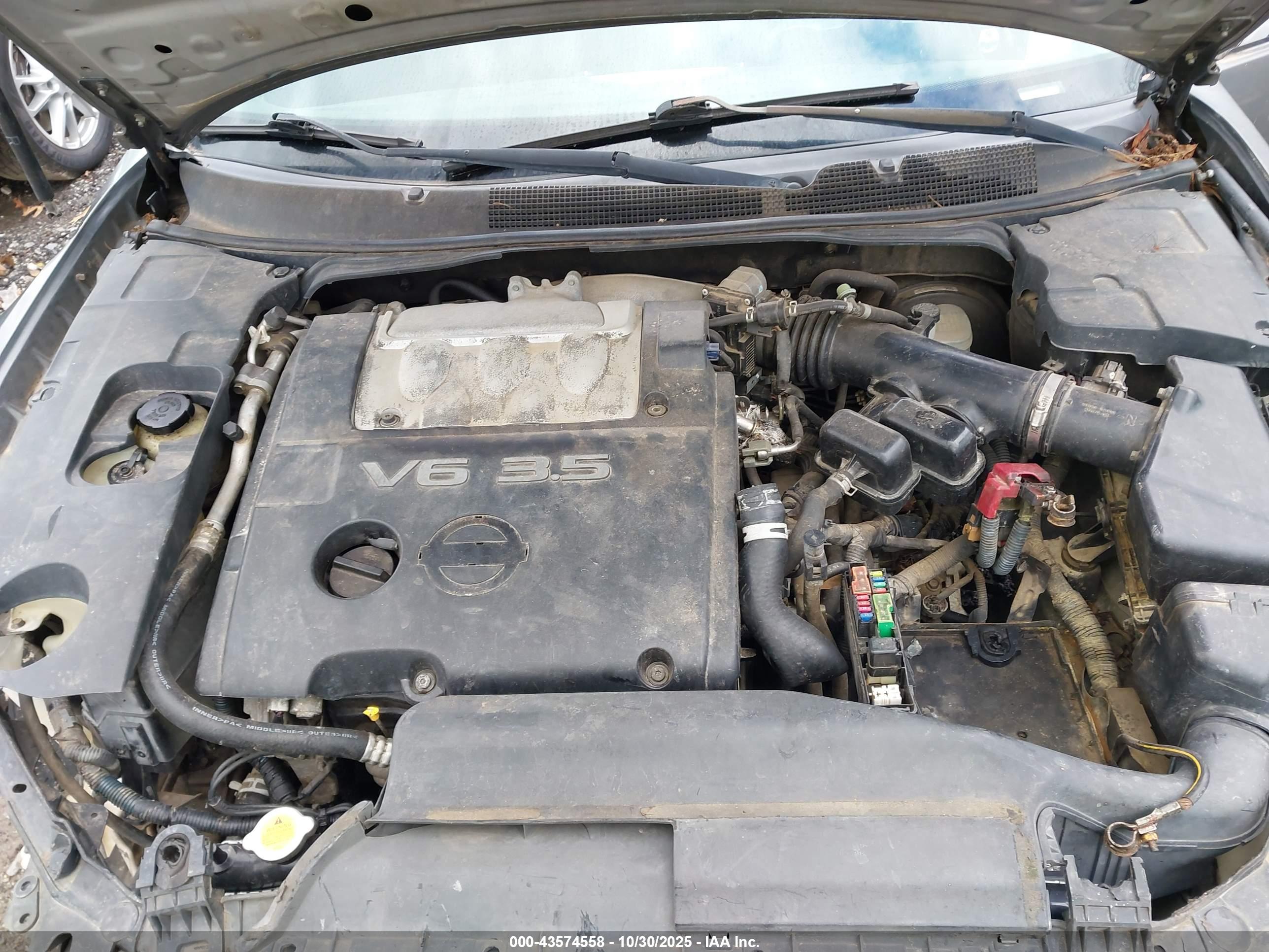 NISSAN MAXIMA image 10