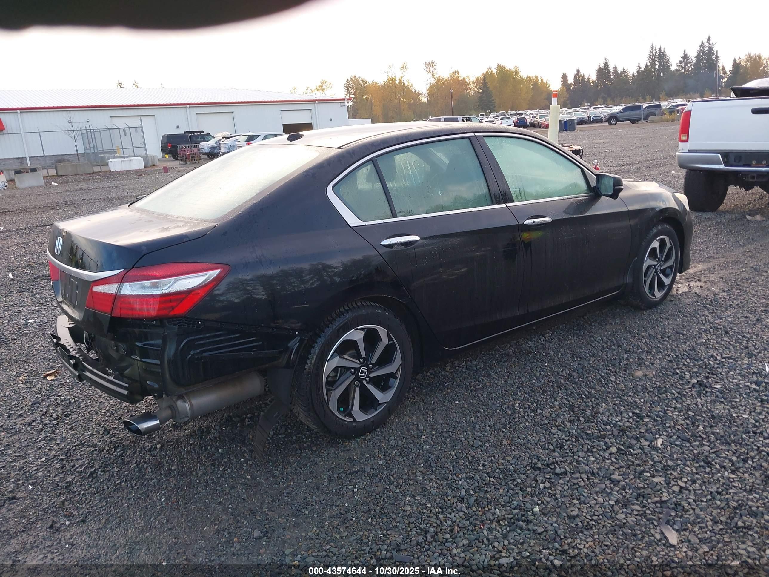 HONDA ACCORD image 4