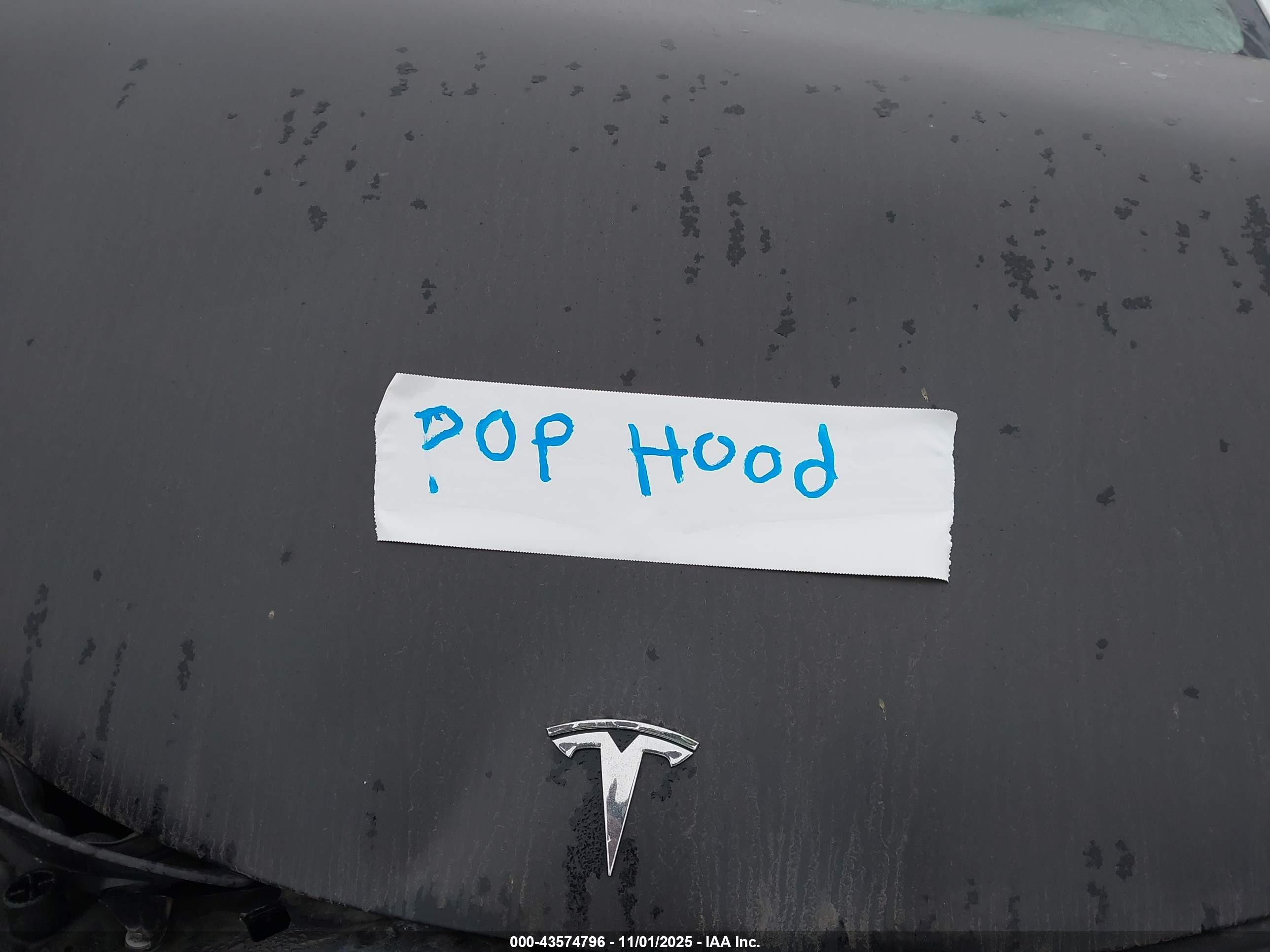 TESLA MODEL image 10