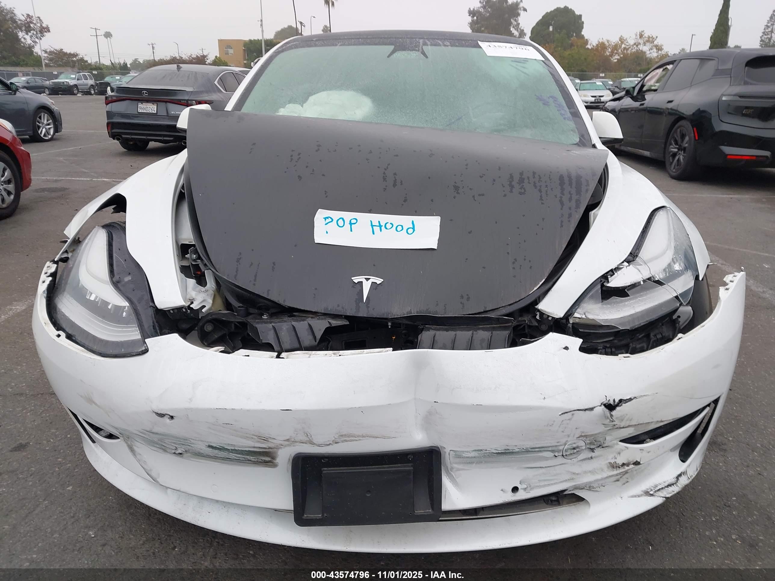 TESLA MODEL image 6