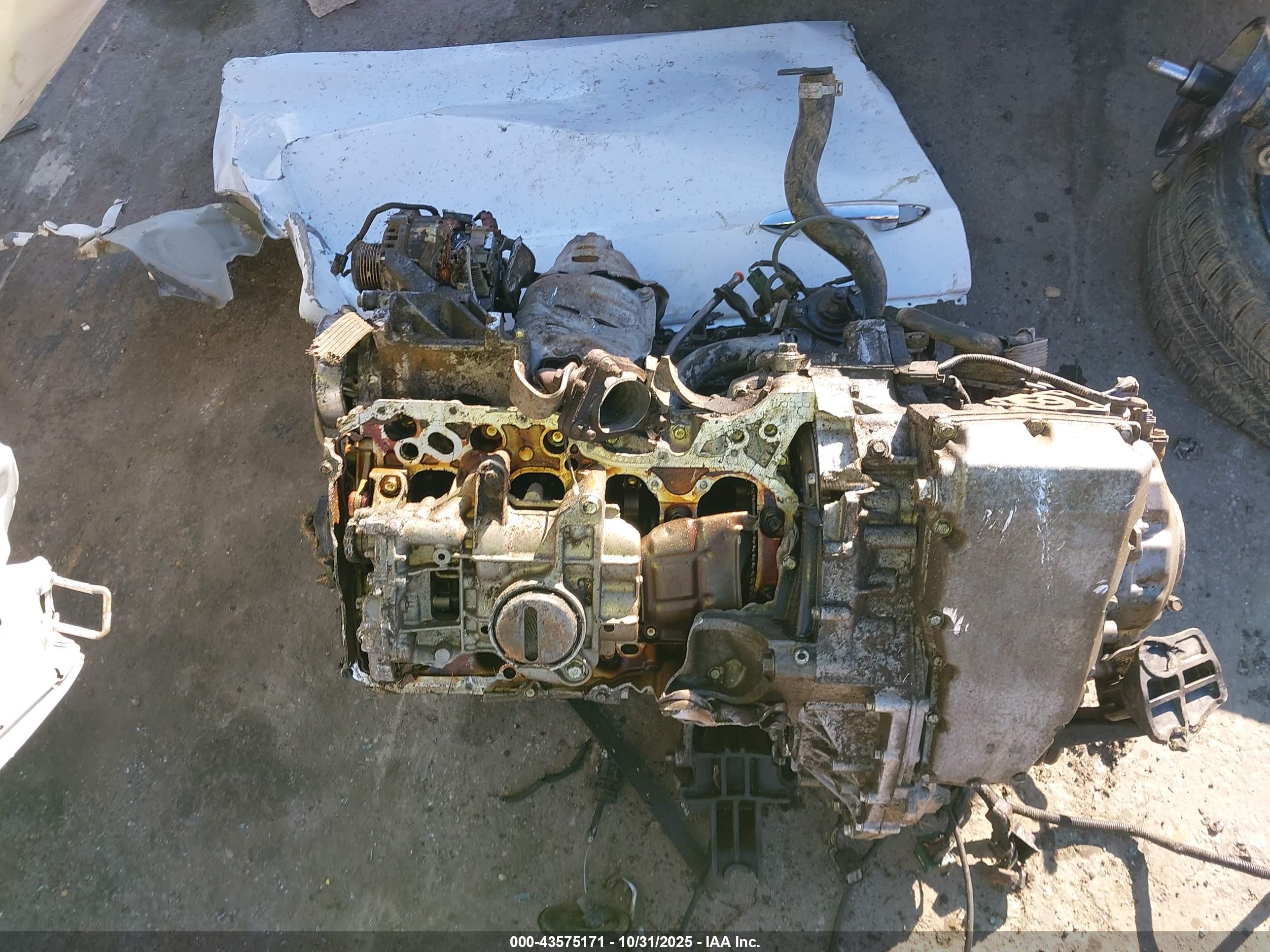 HONDA ACCORD image 10