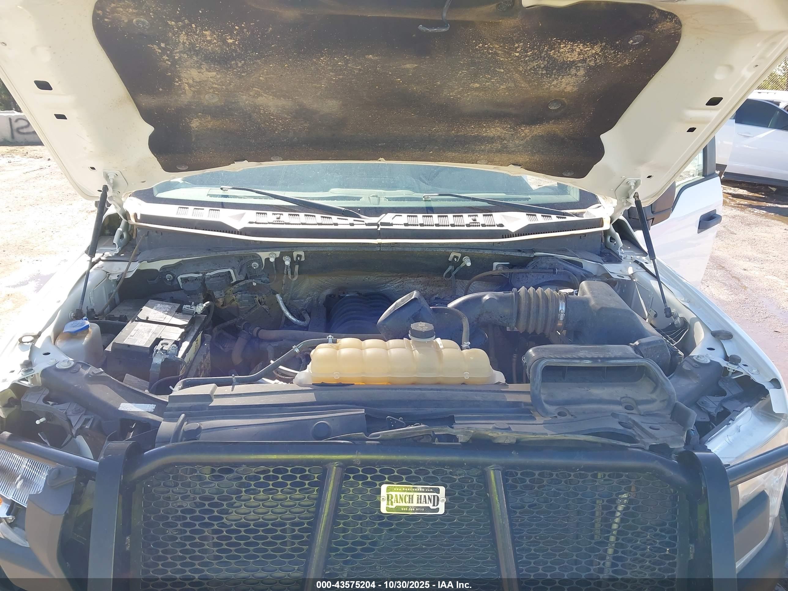 FORD F-150 image 10