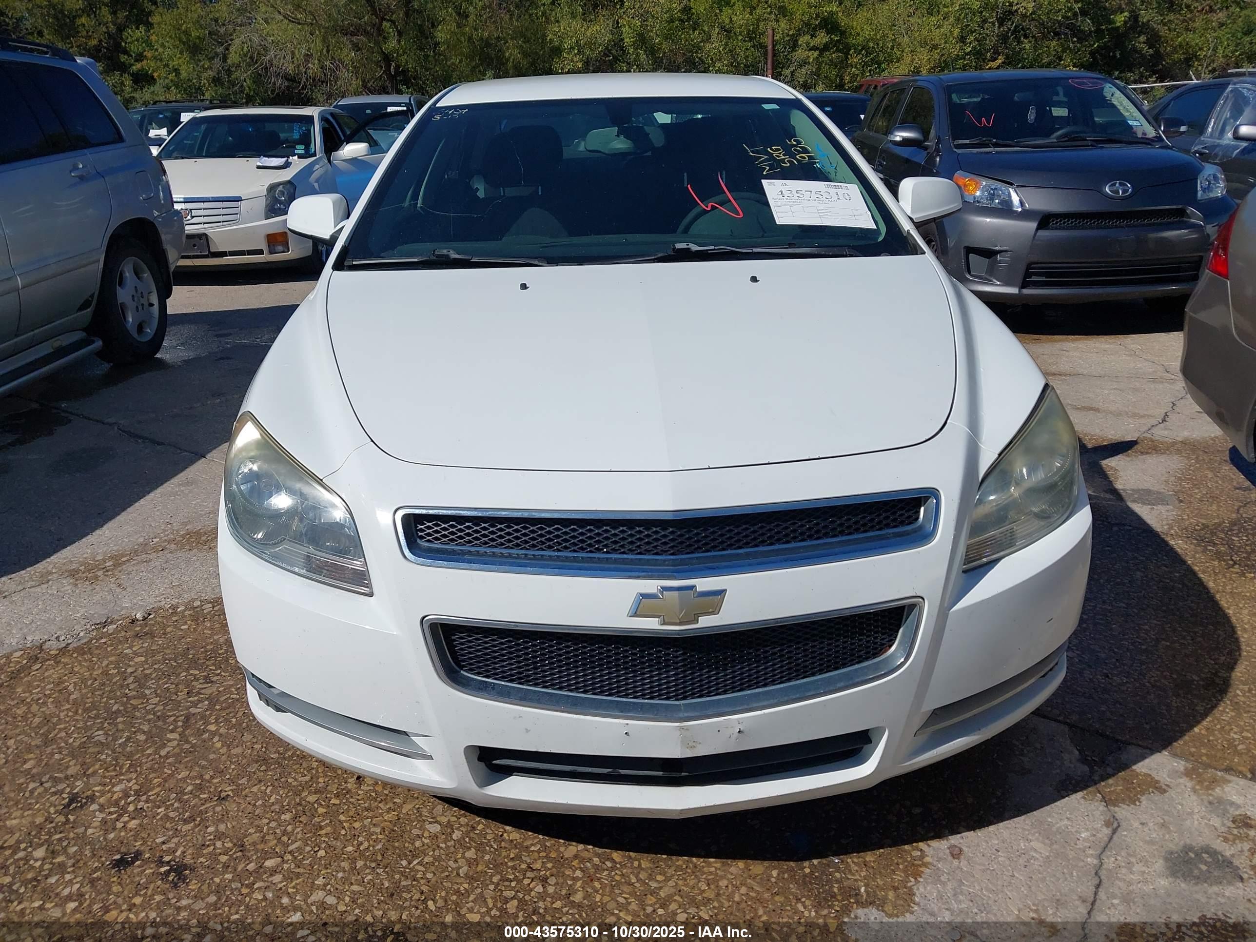 CHEVROLET MALIBU image 6