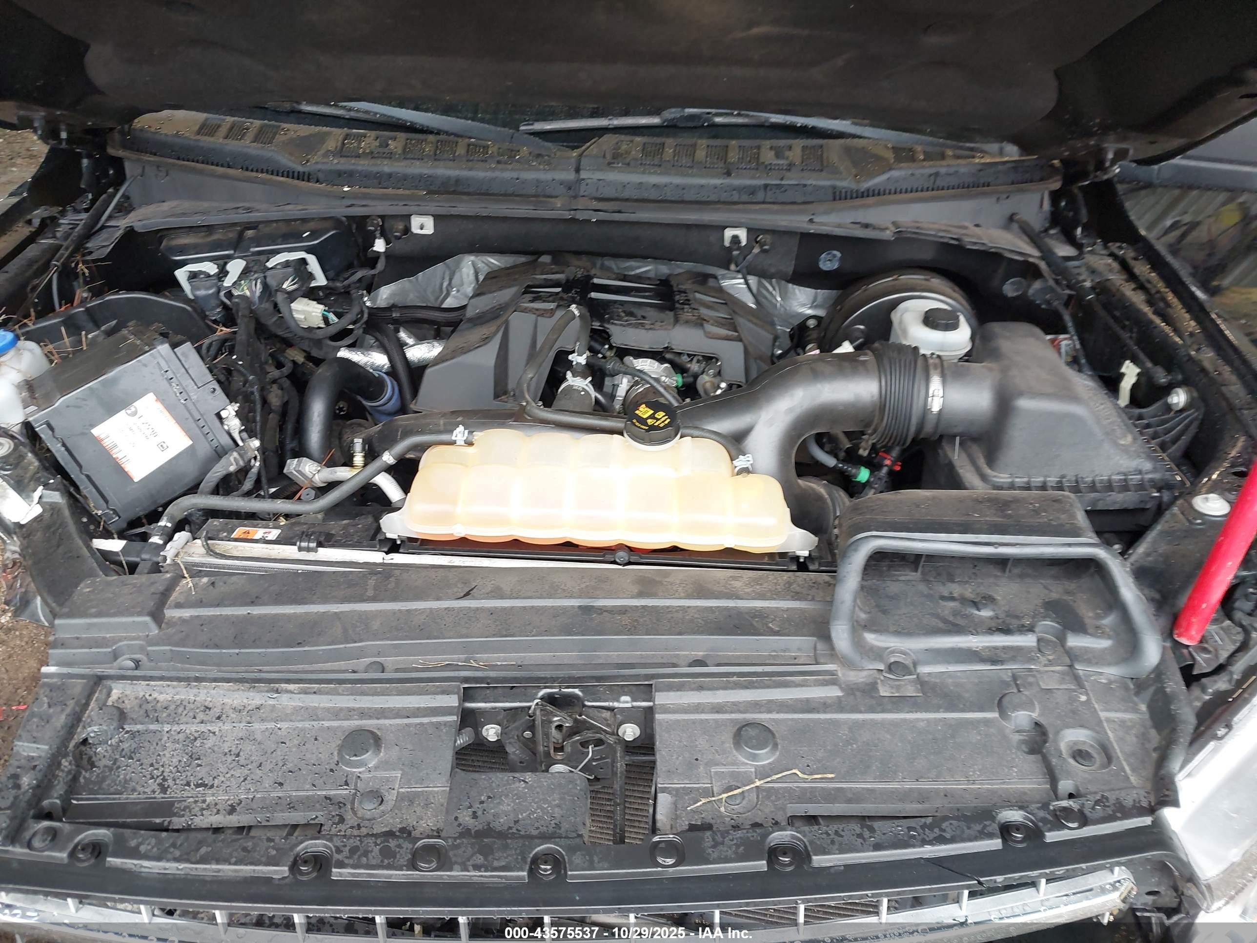 FORD F-150 image 10