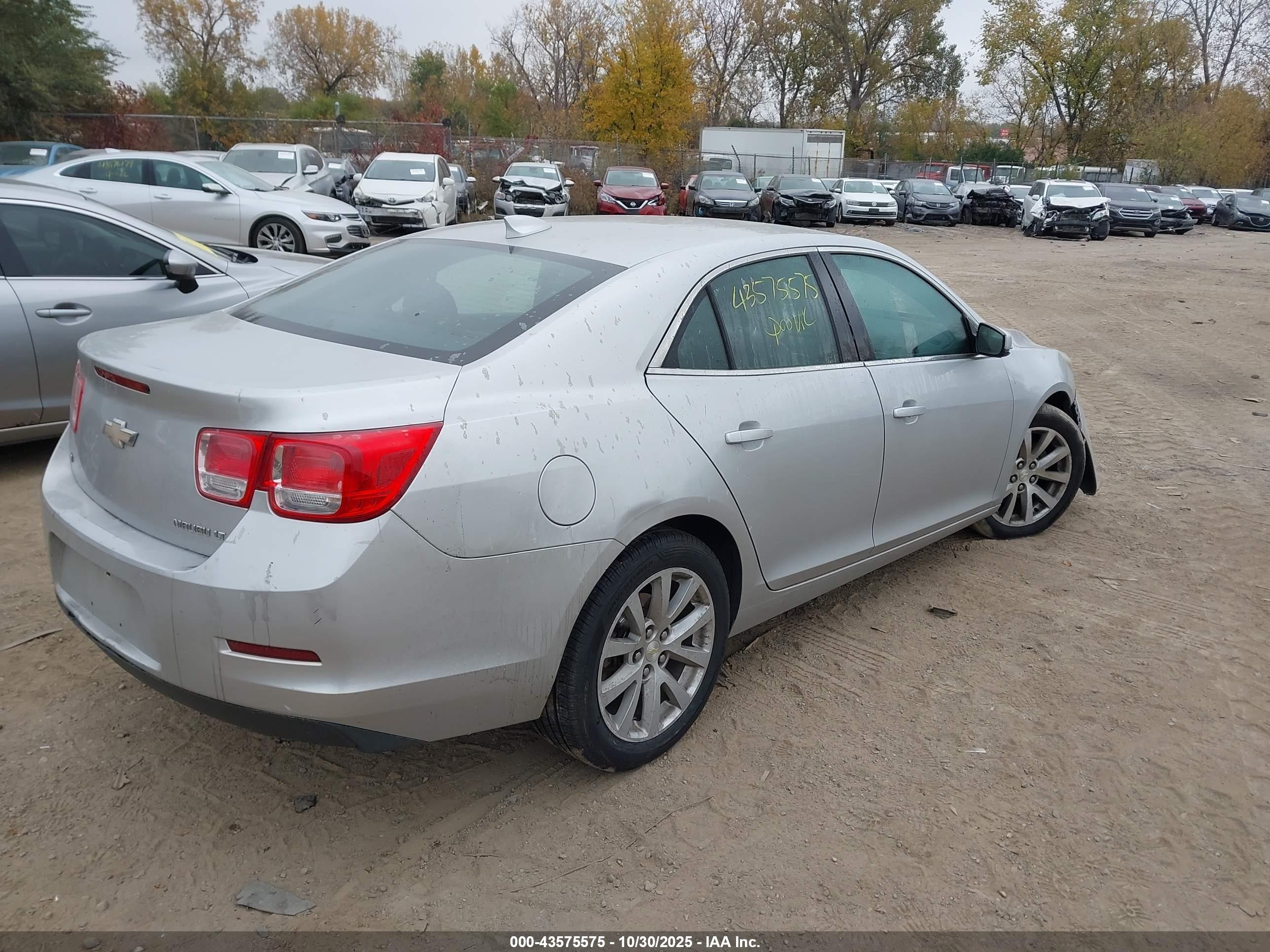 CHEVROLET MALIBU image 4
