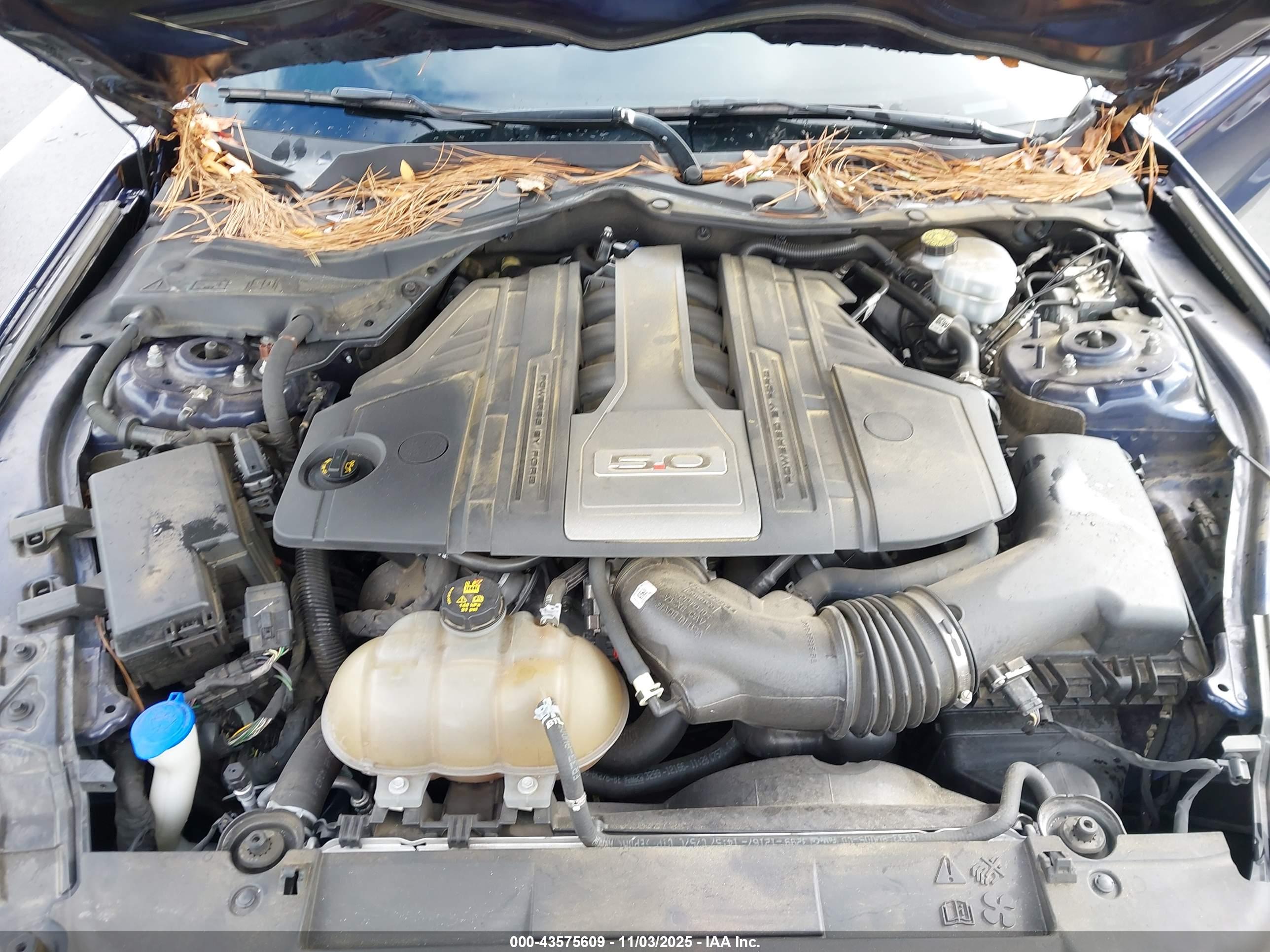 FORD MUSTANG image 10