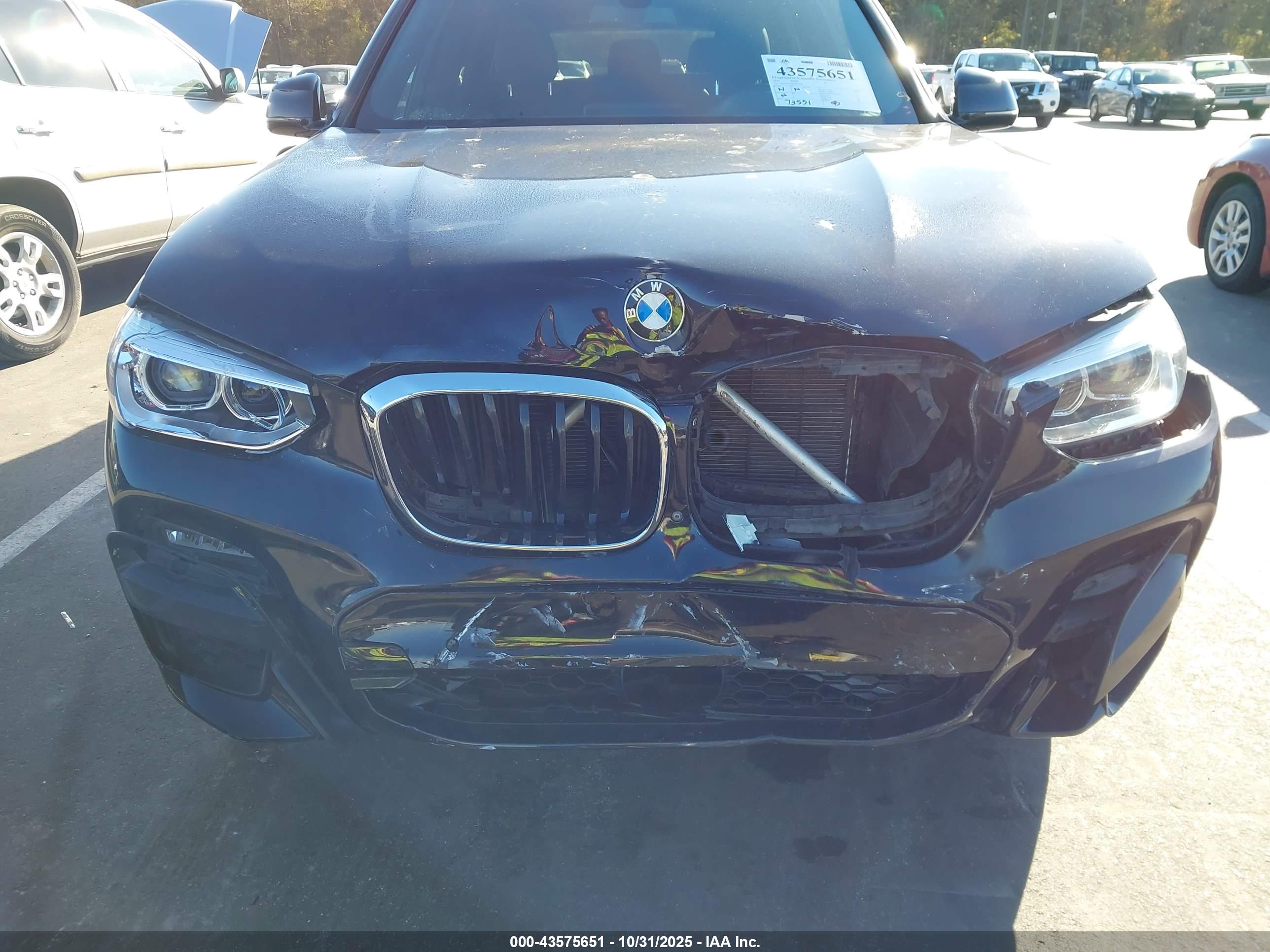 BMW X3 image 6