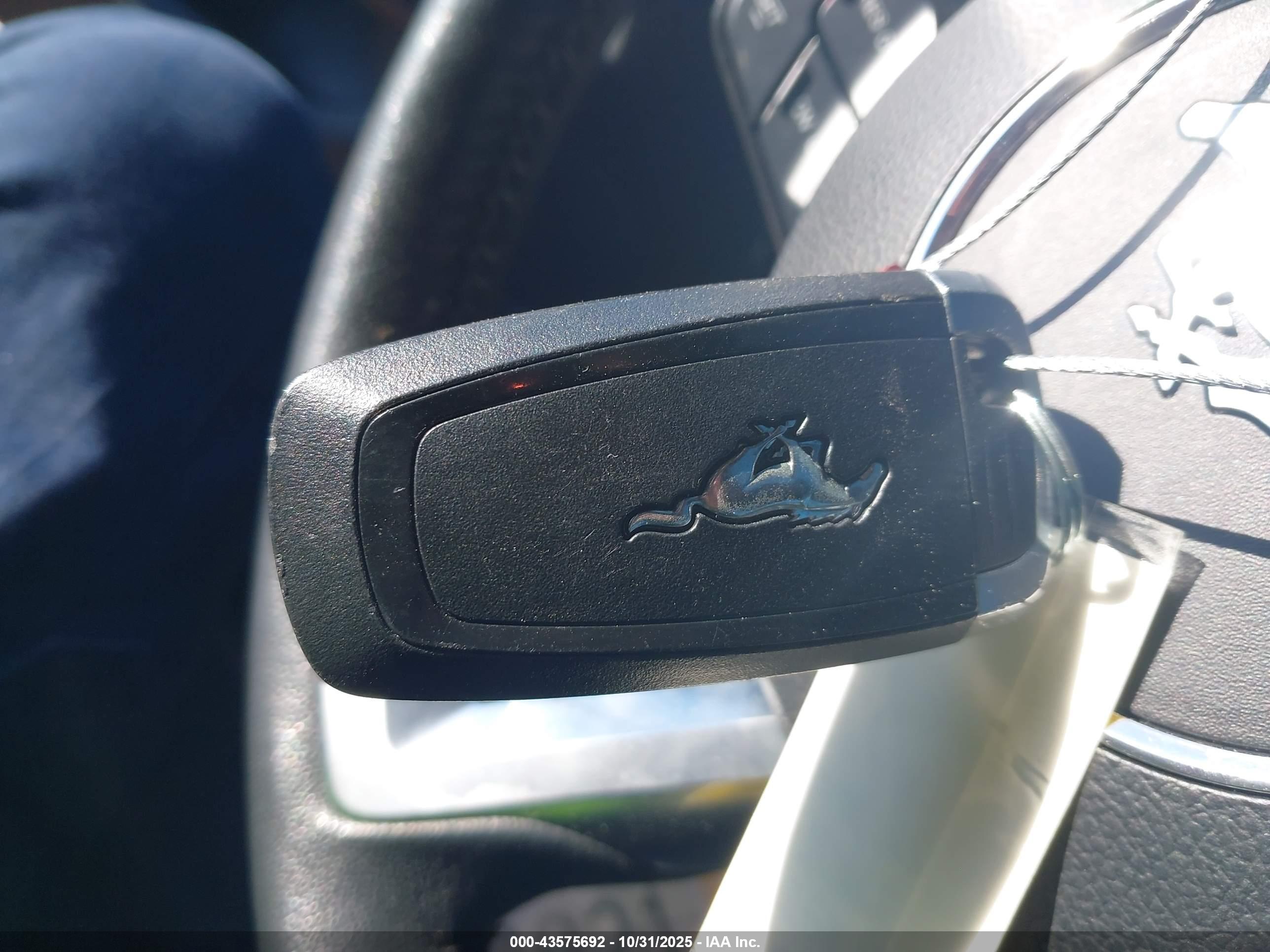 FORD MUSTANG image 11