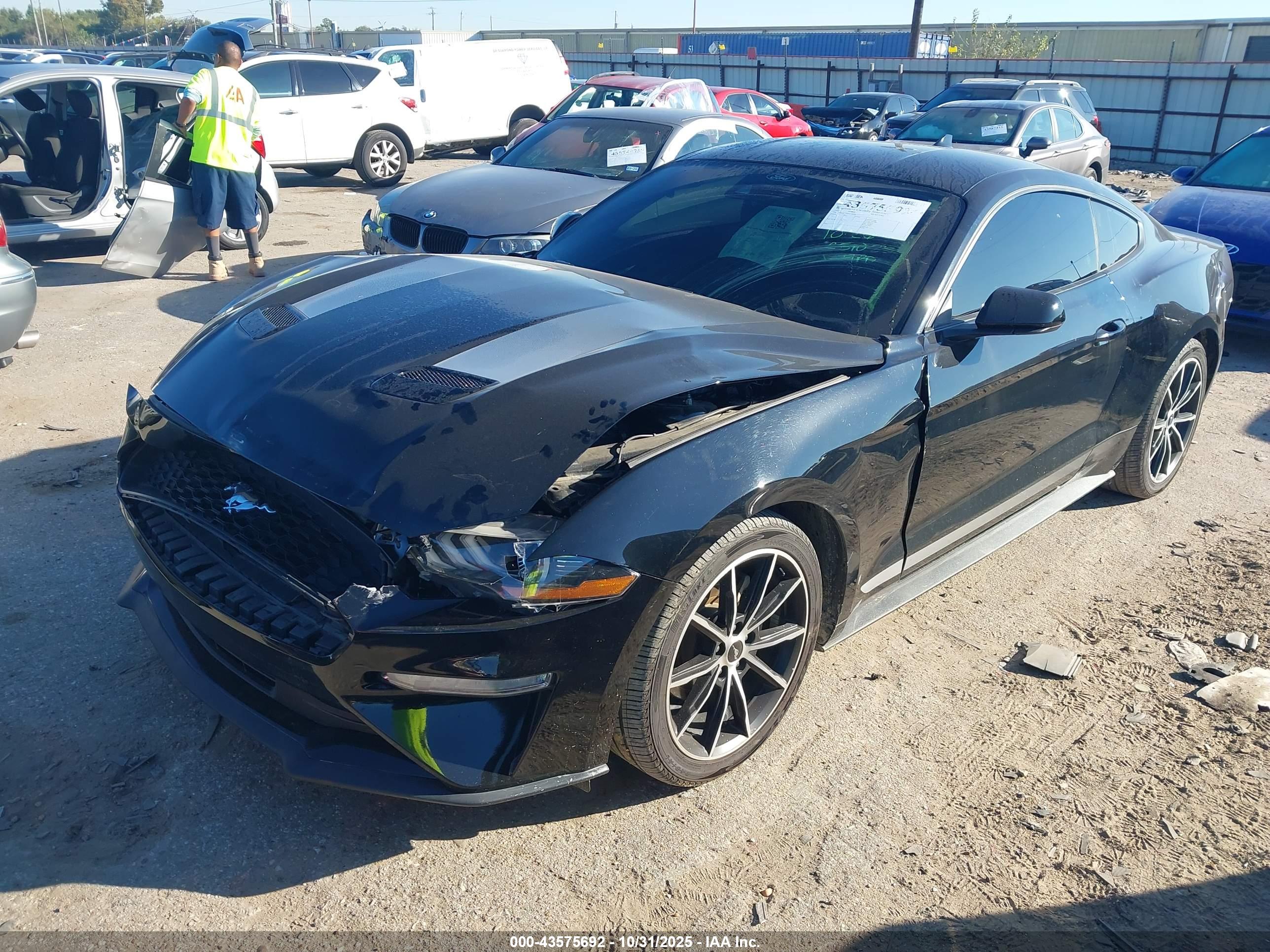 FORD MUSTANG image 2