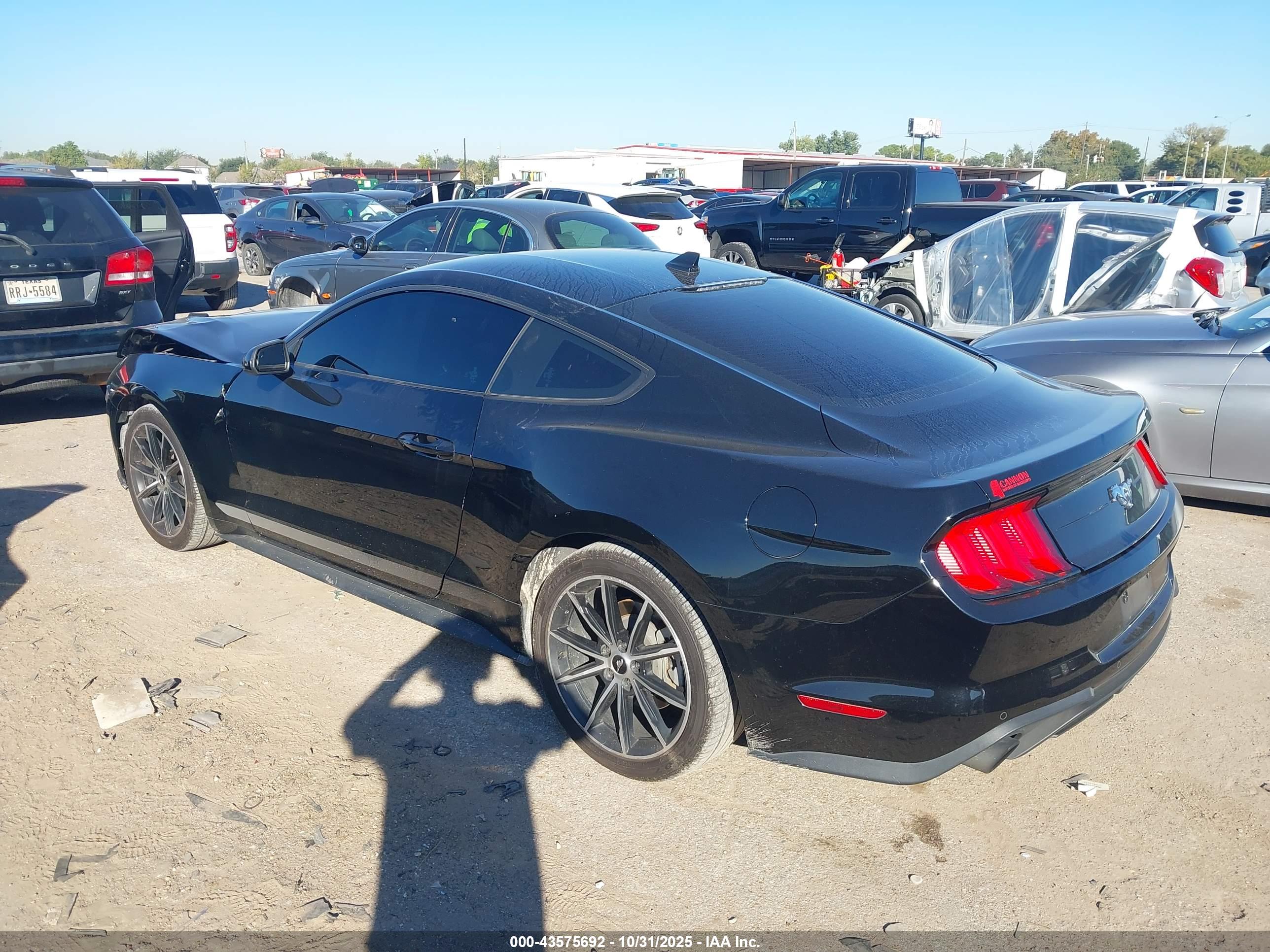 FORD MUSTANG image 3
