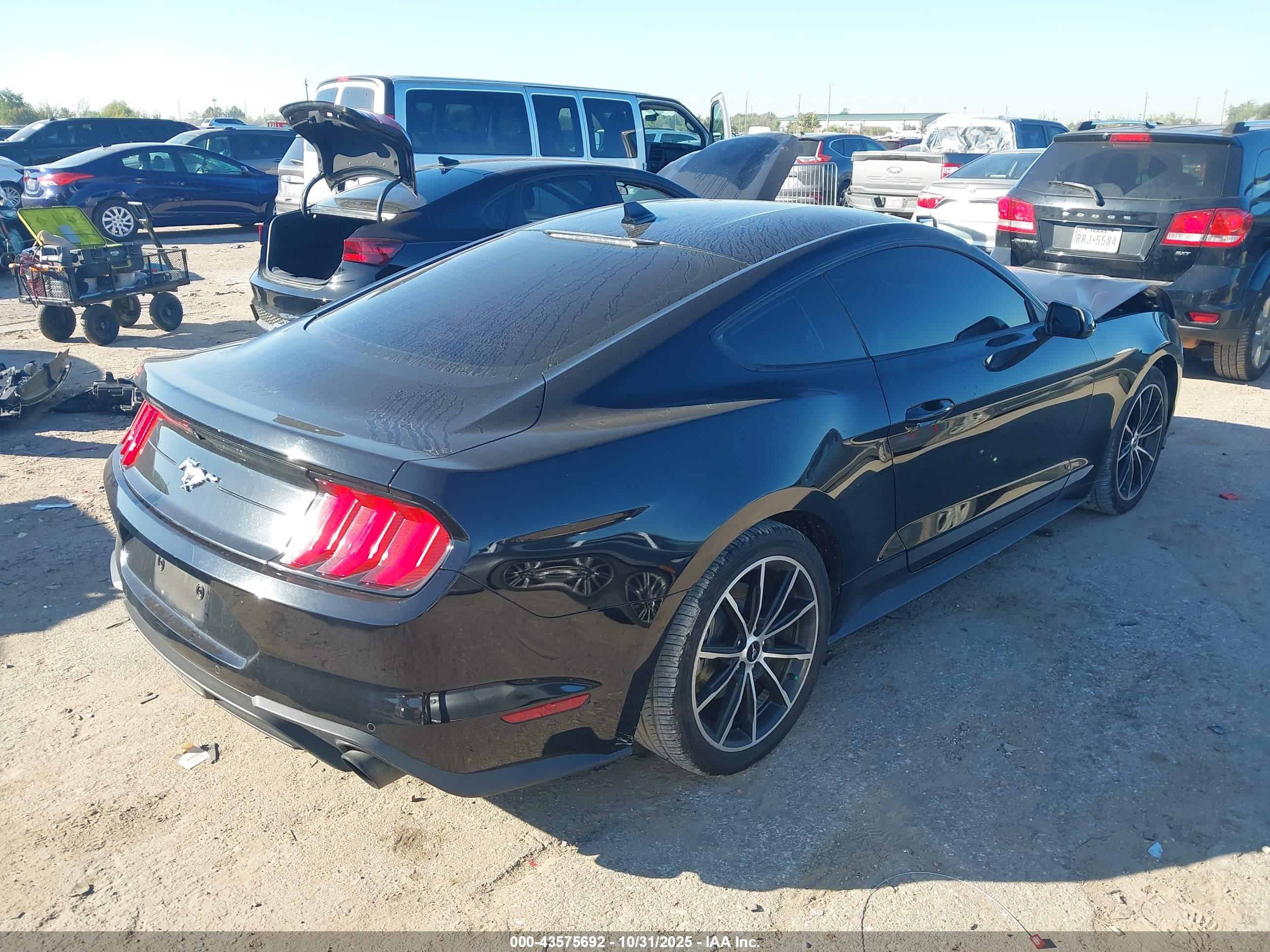FORD MUSTANG image 4