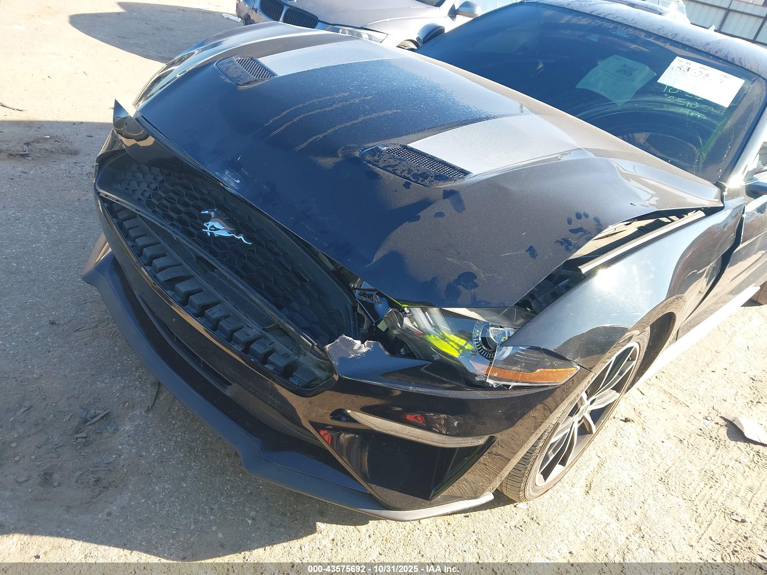 FORD MUSTANG image 6