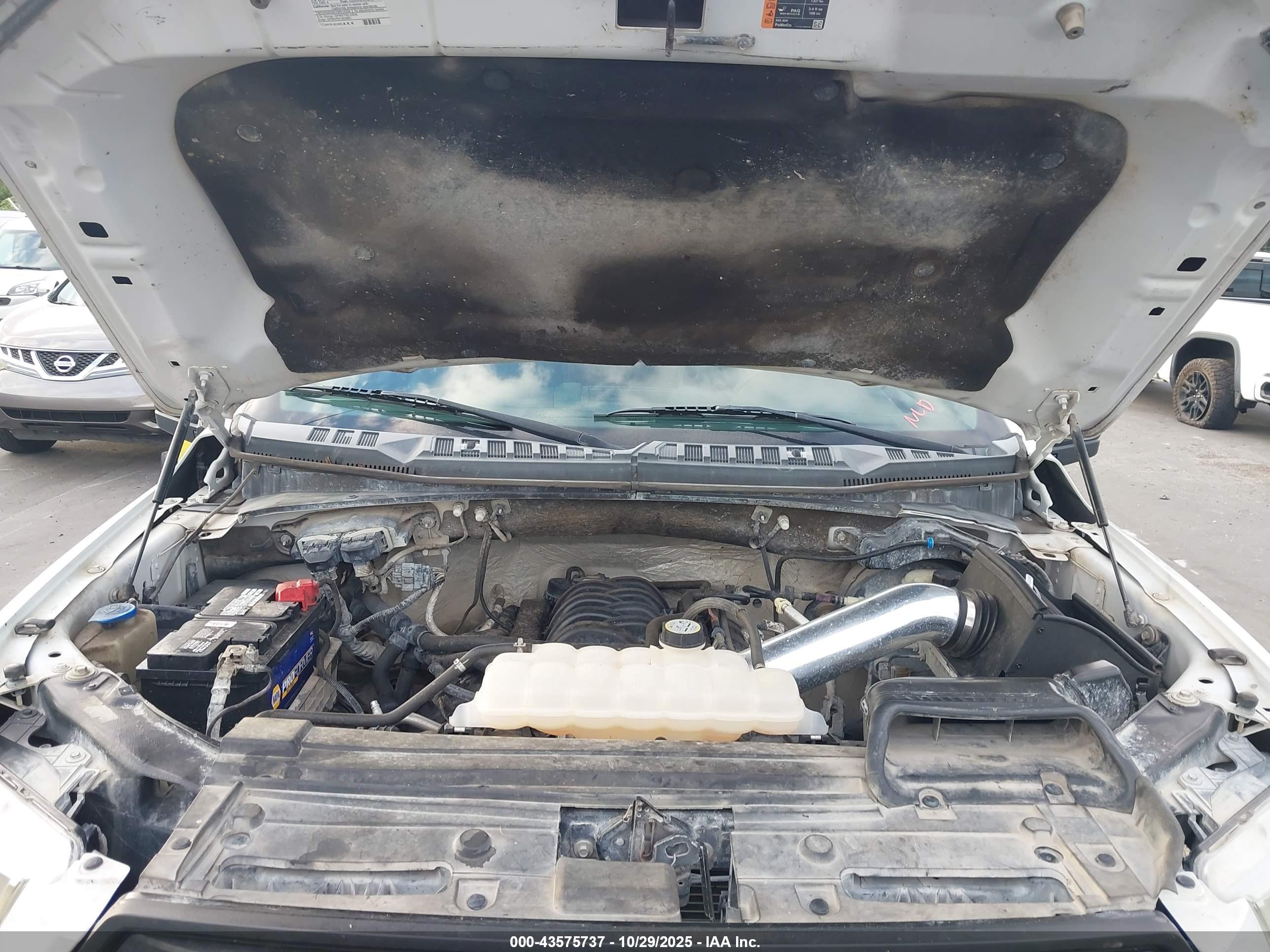 FORD F-150 image 10