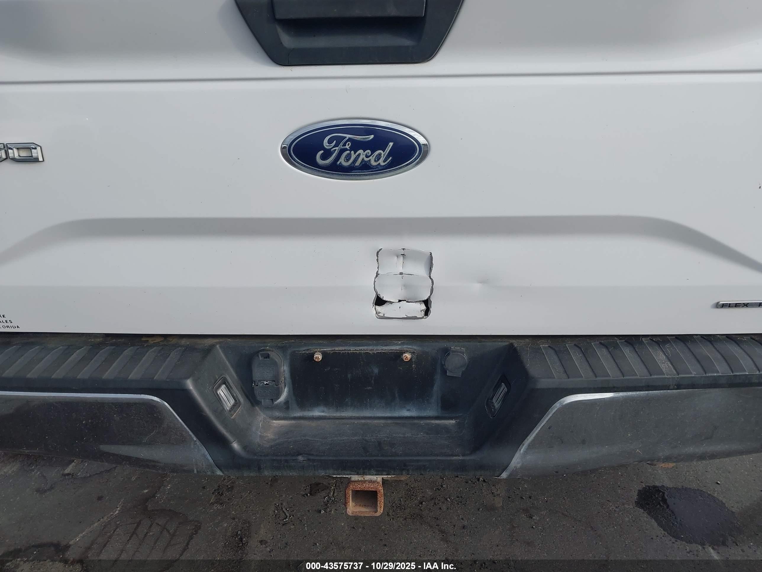 FORD F-150 image 6