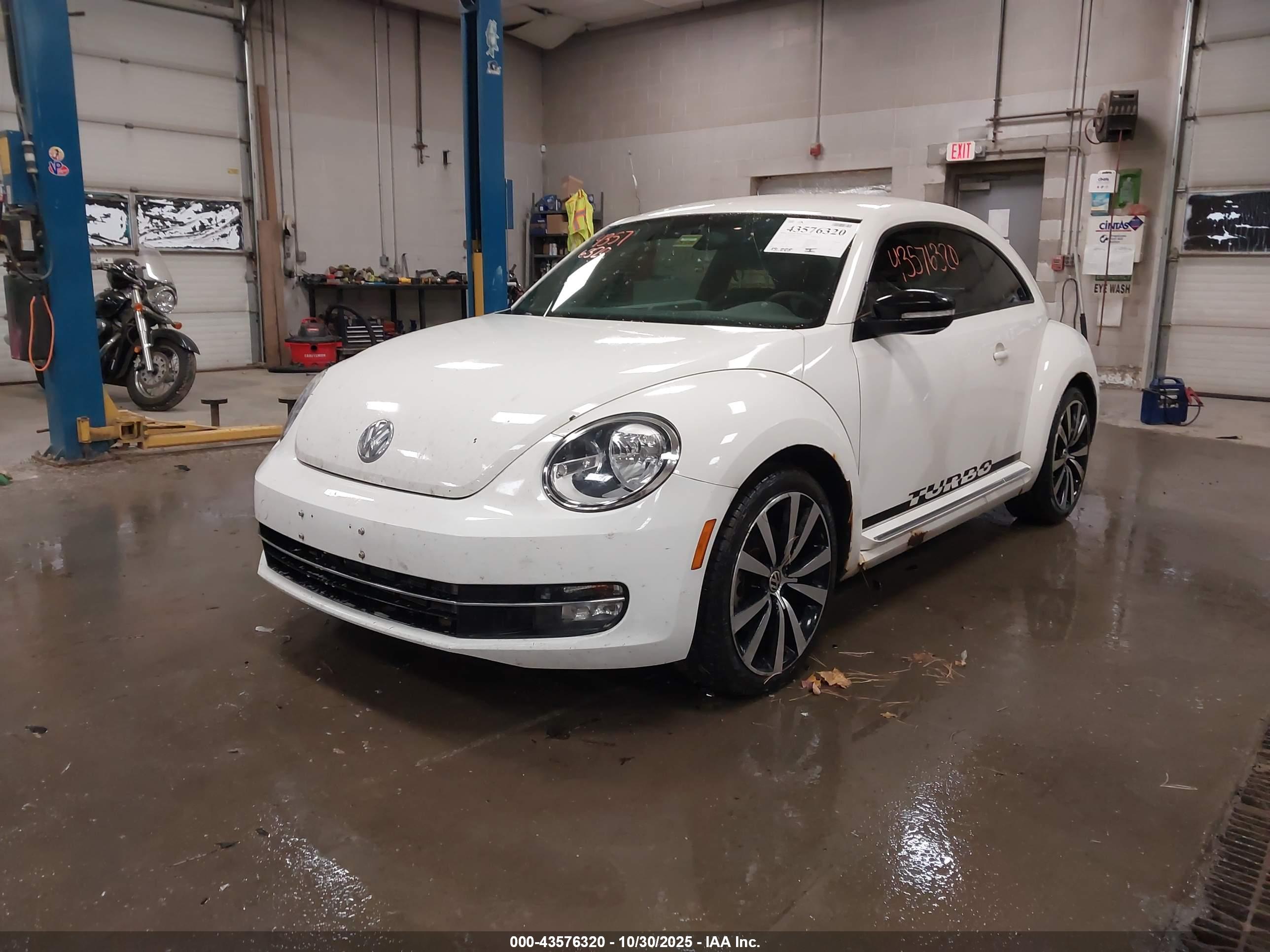 VOLKSWAGEN BEETLE image 2