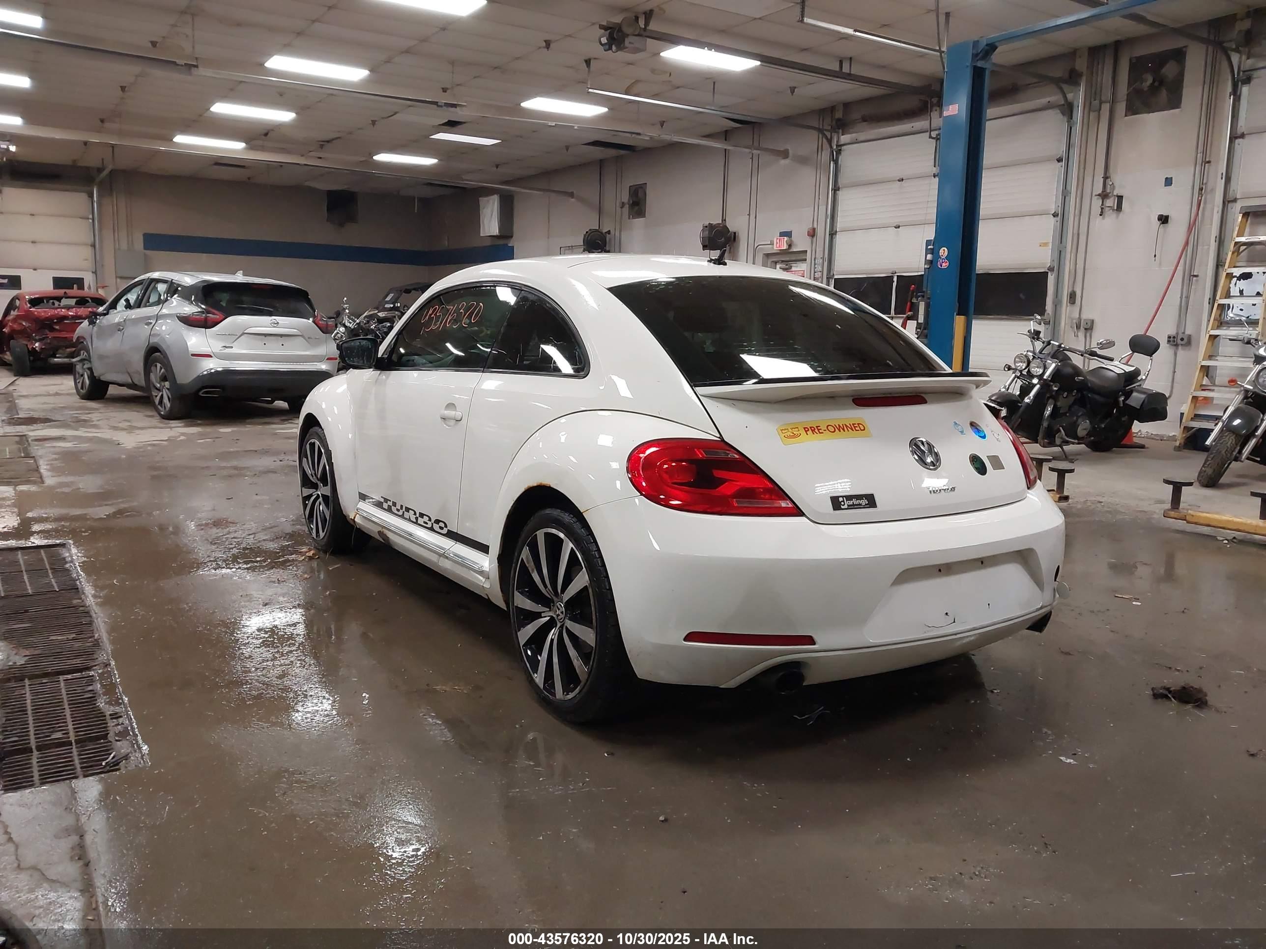 VOLKSWAGEN BEETLE image 3