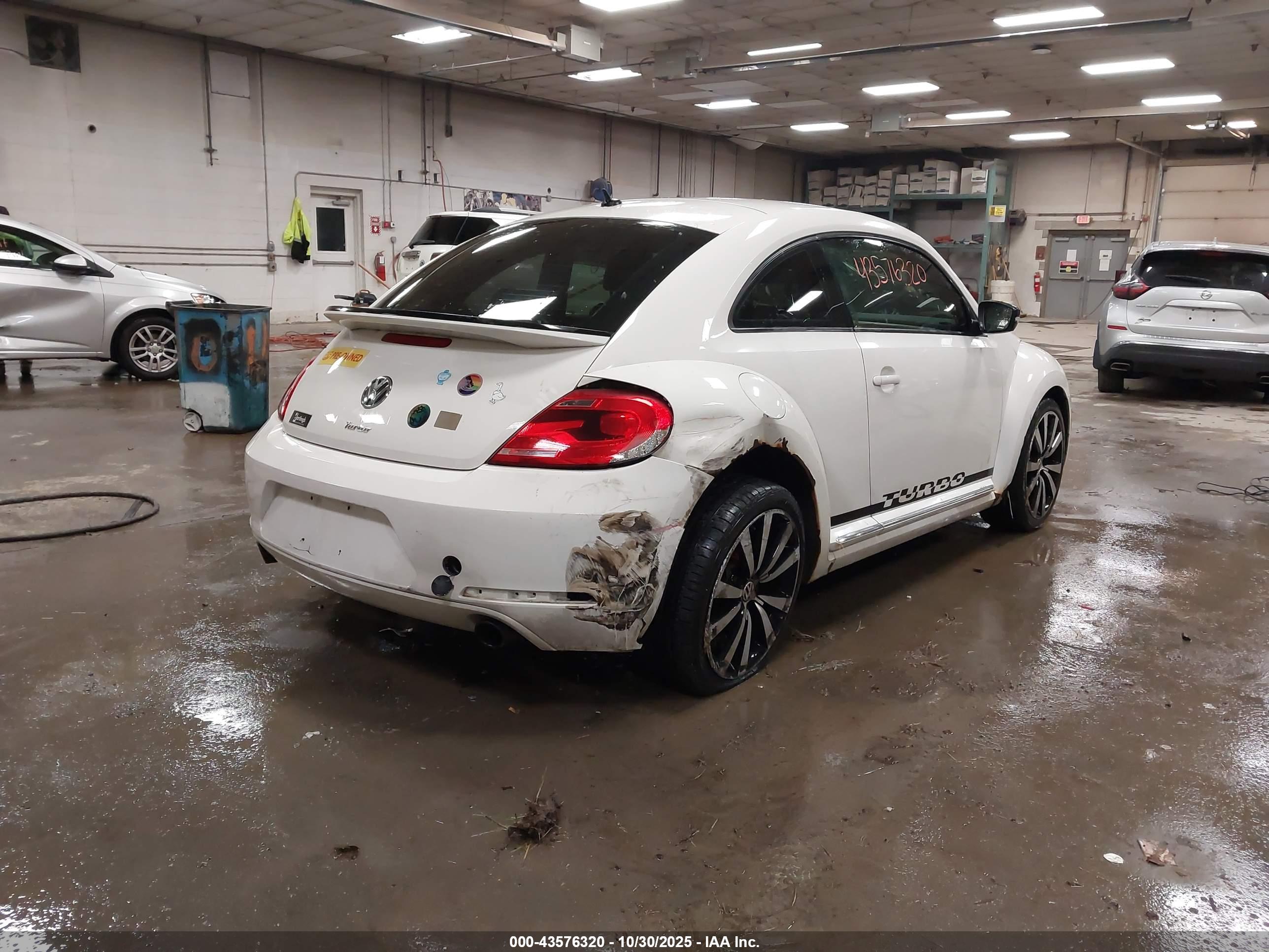VOLKSWAGEN BEETLE image 4