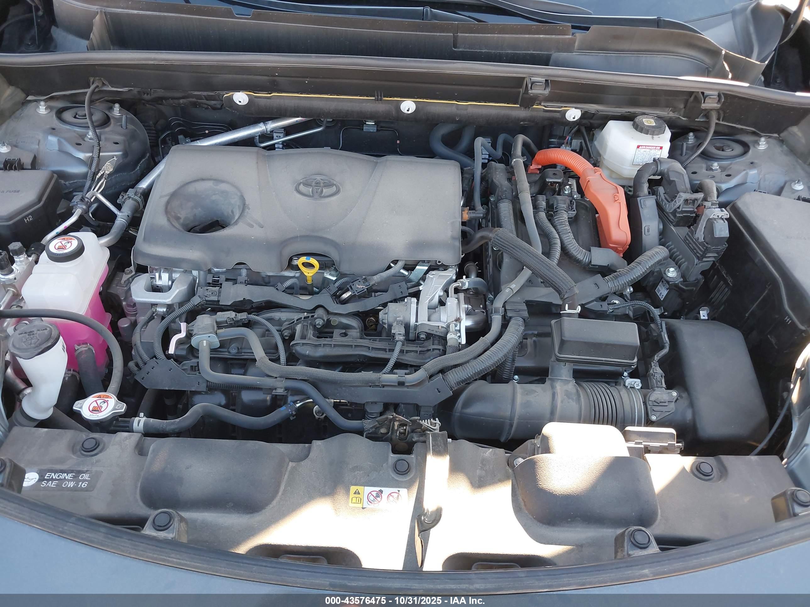 TOYOTA VENZA image 10