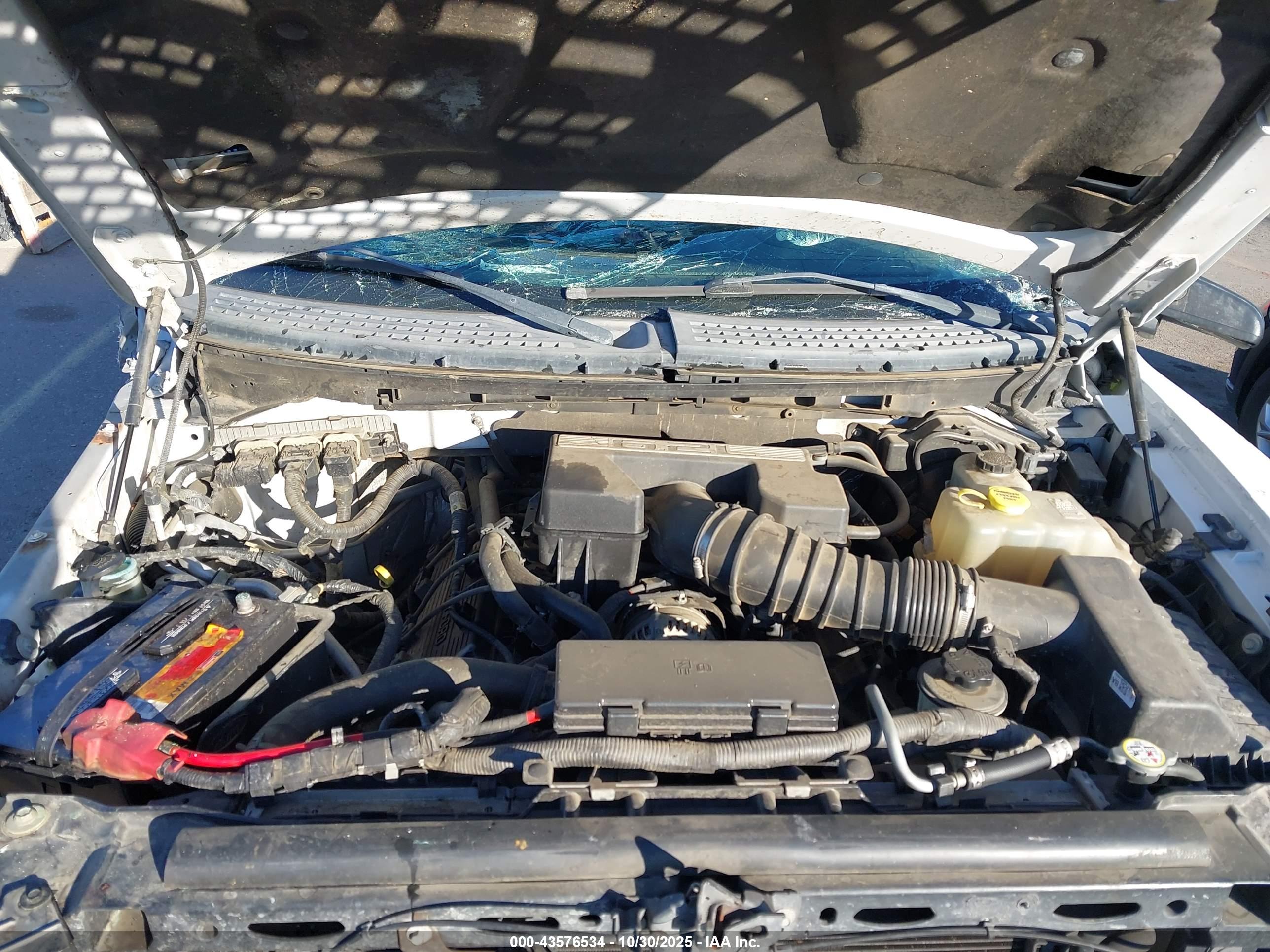 FORD F-150 image 10