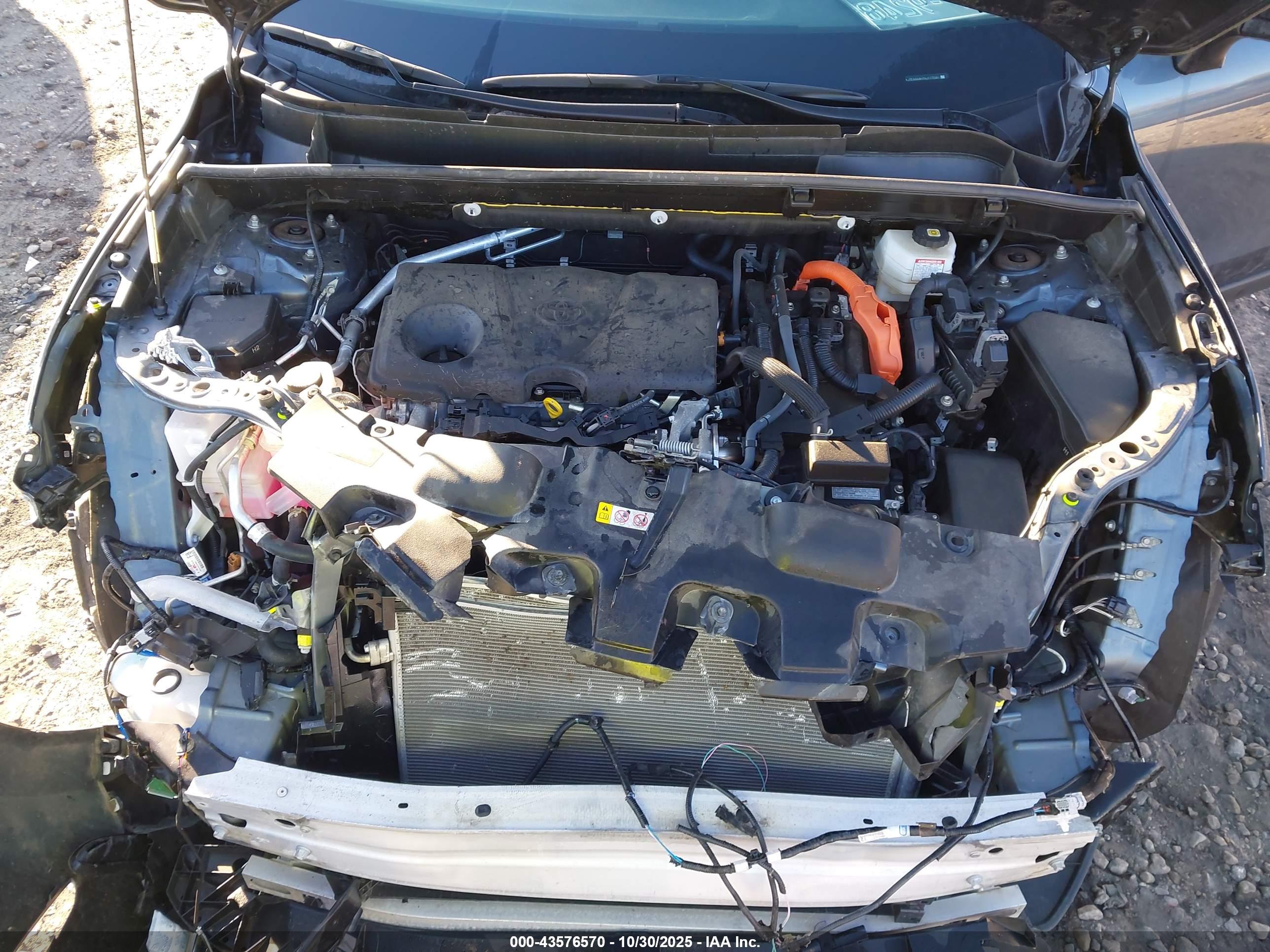 TOYOTA VENZA image 10